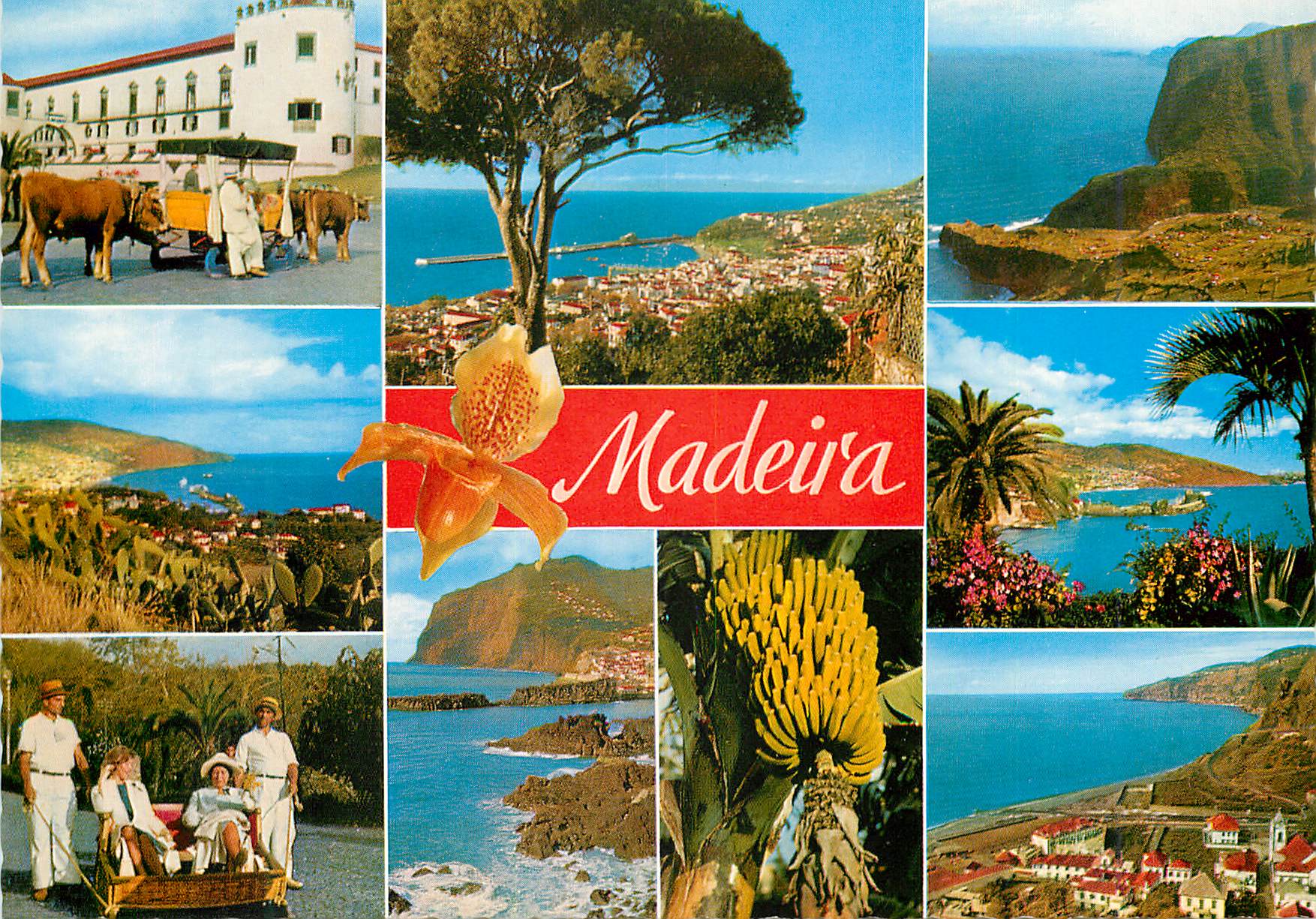CPM Madeira les meilleures vues de madere
