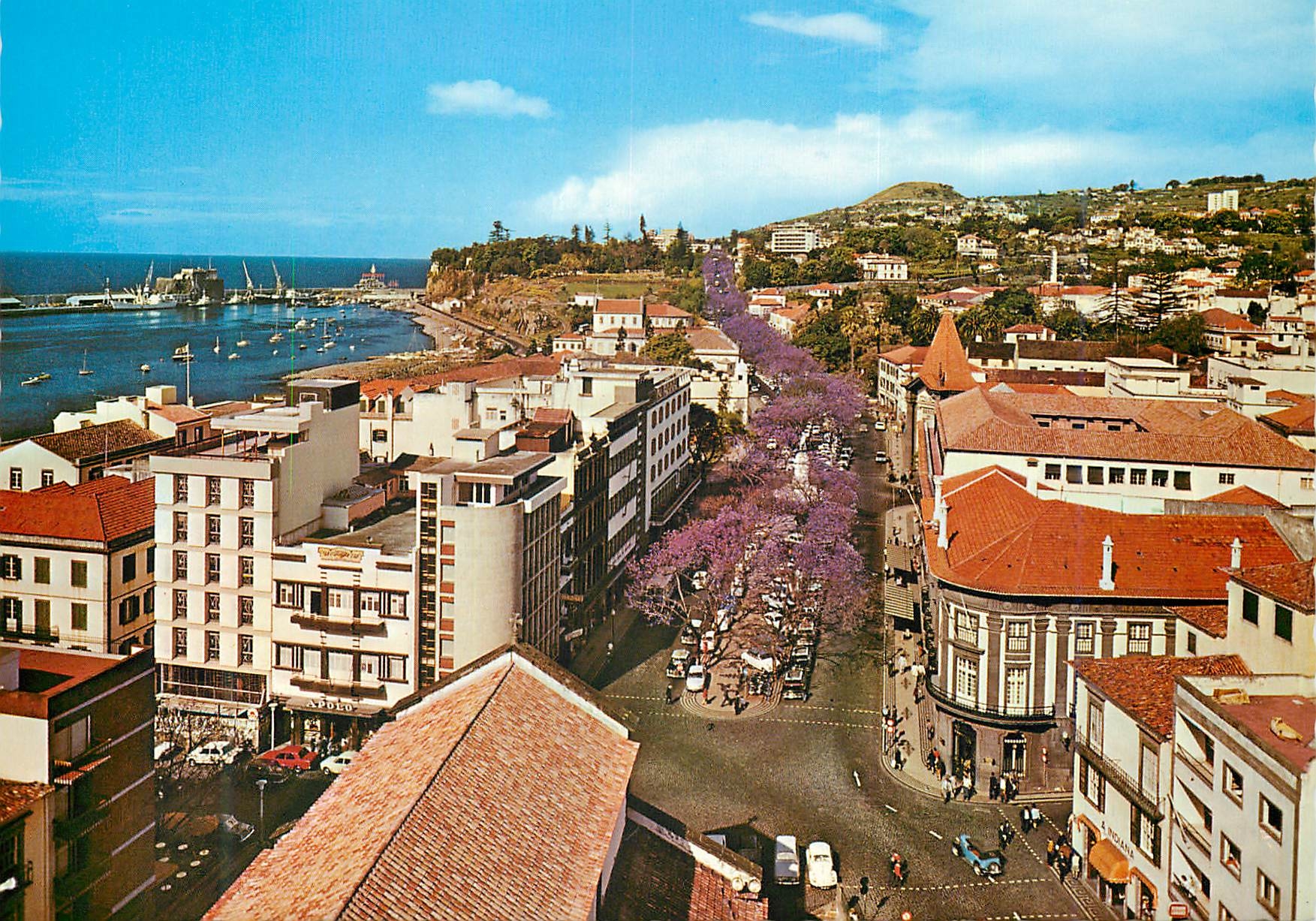 CPM Funchal madeira vue partielle de la ville