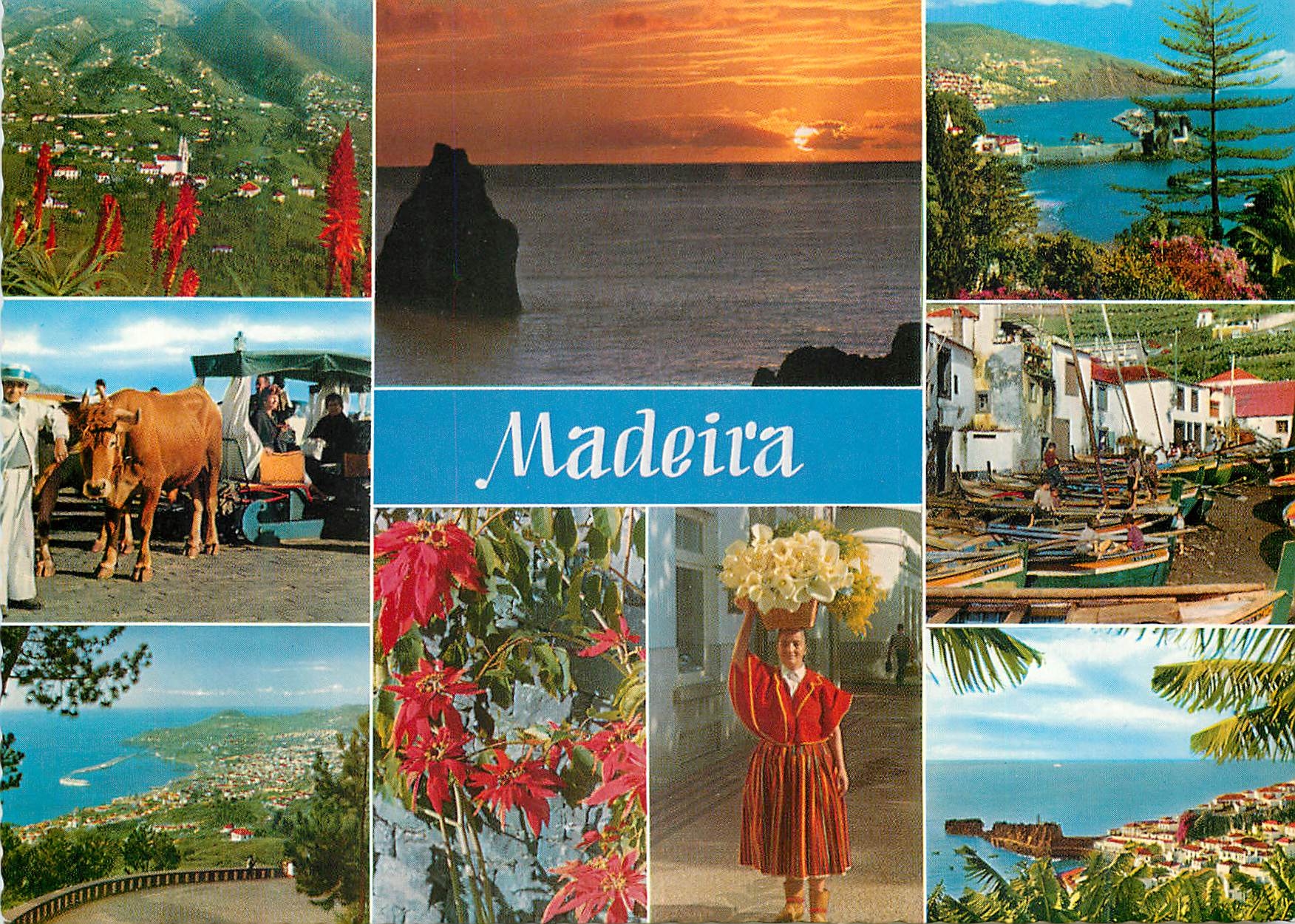 CPM Madeira les meilleures vues de madere