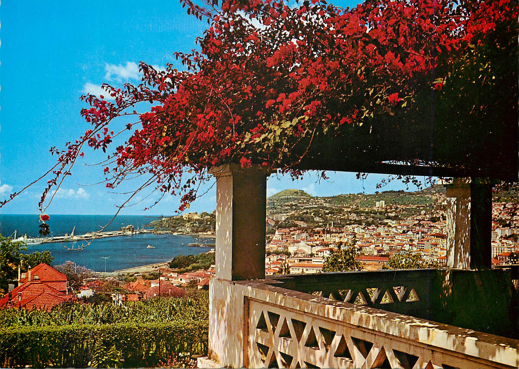 CPM Funchal madeira vue occidentale
