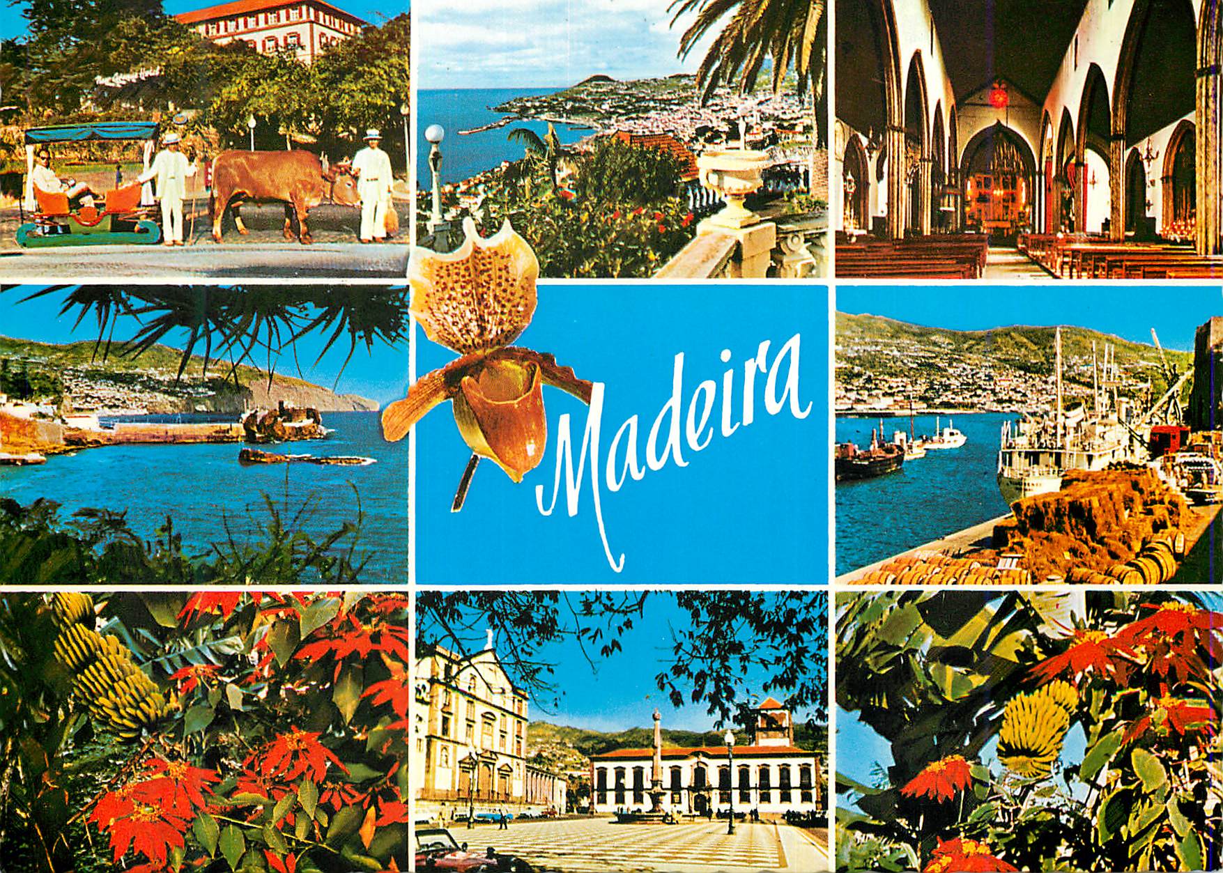 CPM Madeira les meilleures vues de madere