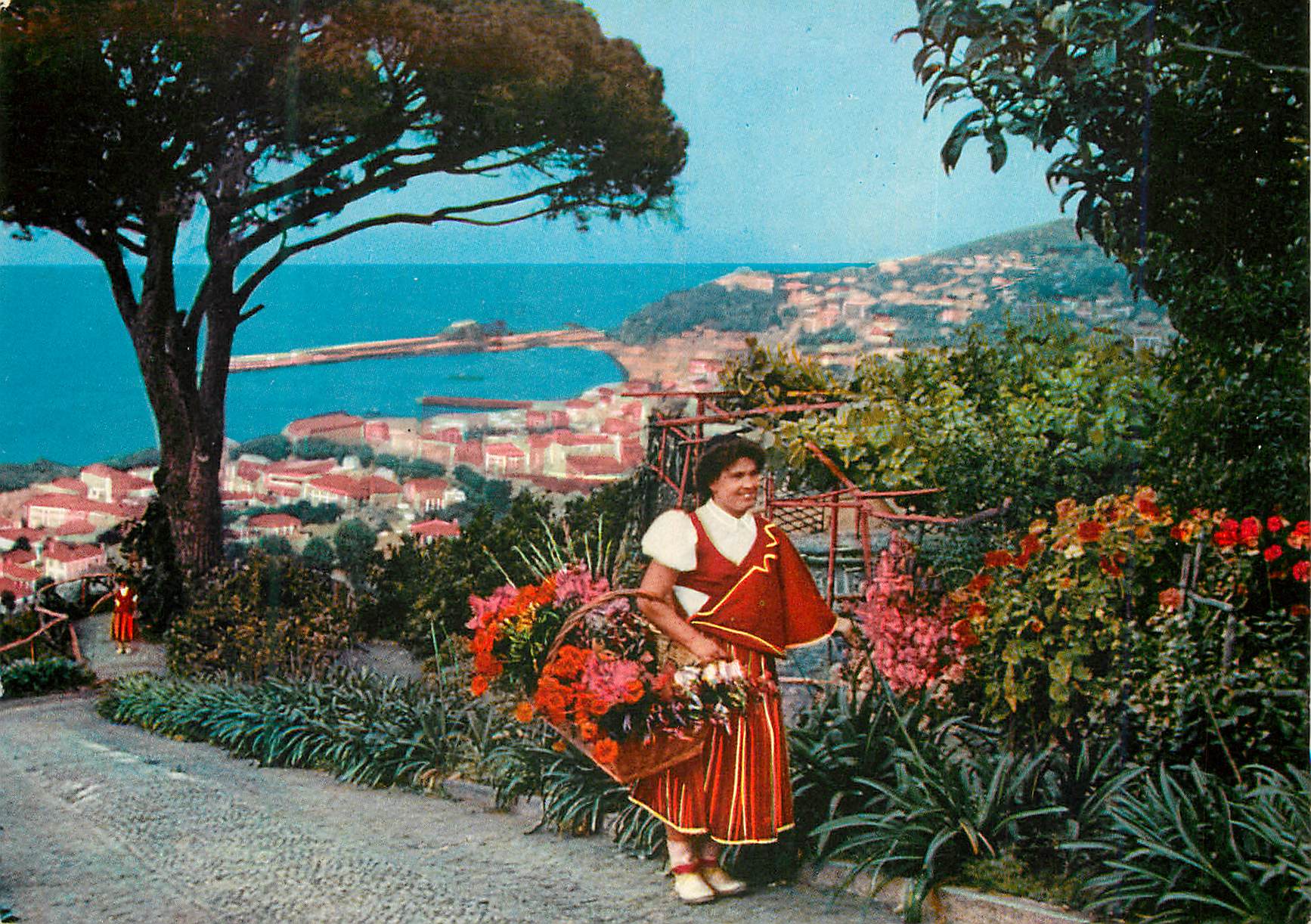 CPM Funchal madeira vue occidentale