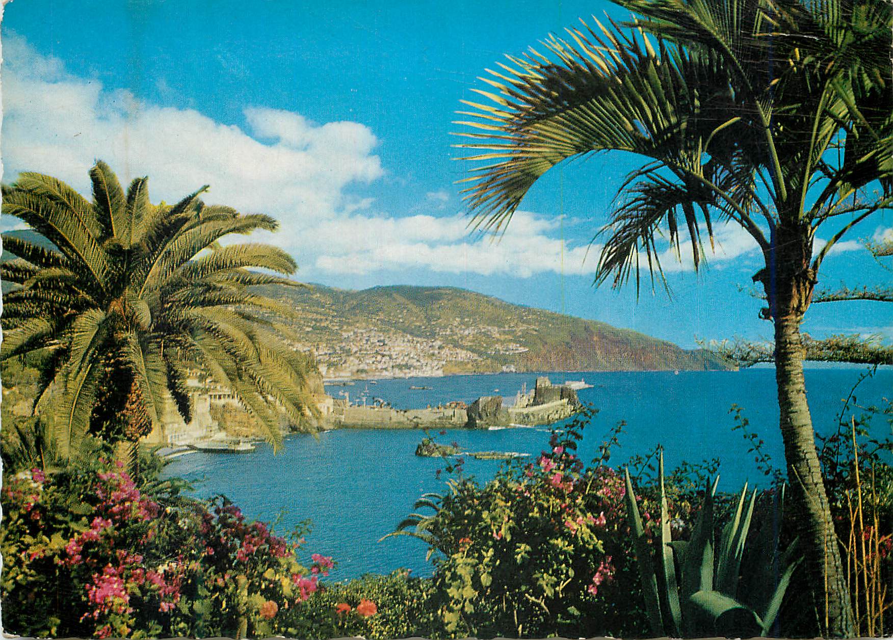 CPM Madeira vue orientale sur funchal