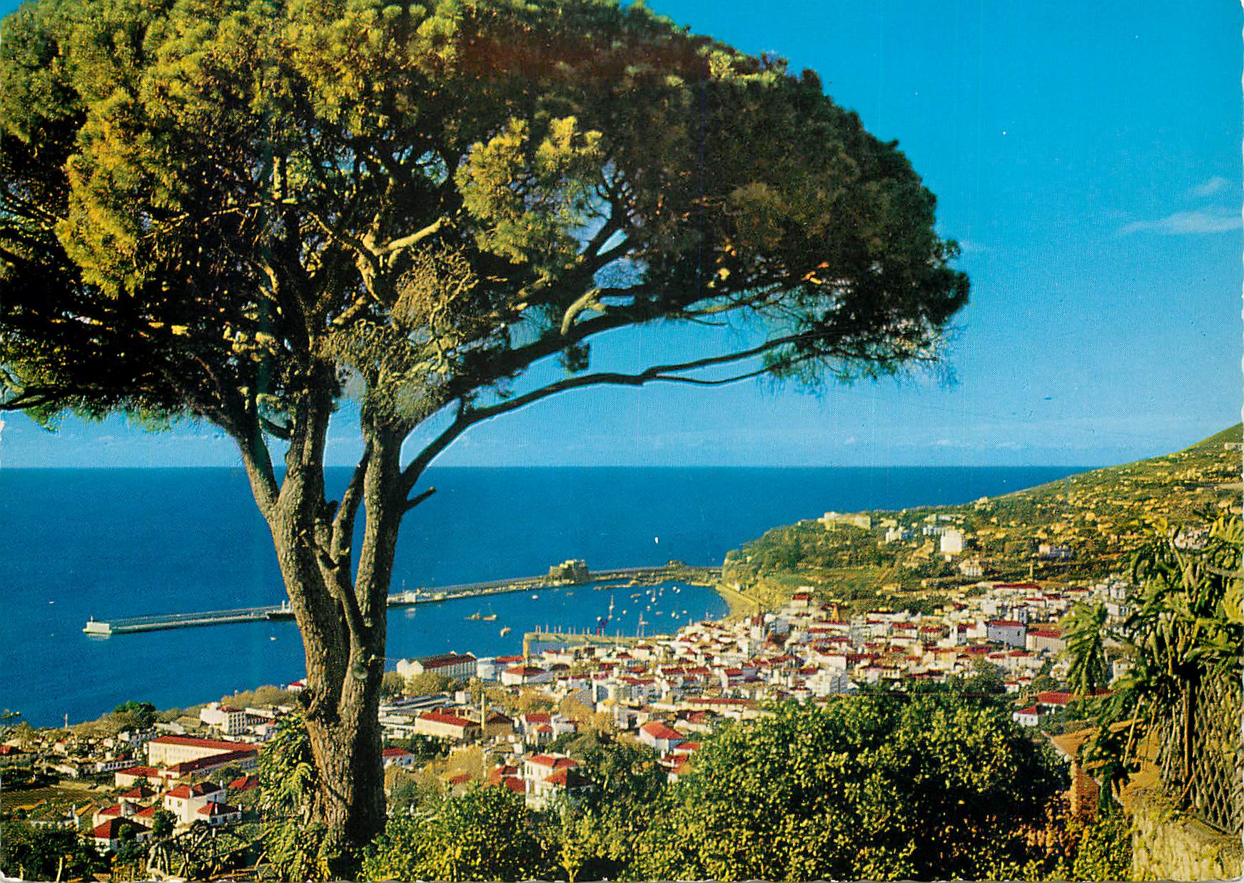 CPM Madeira vue occidentale de funchal
