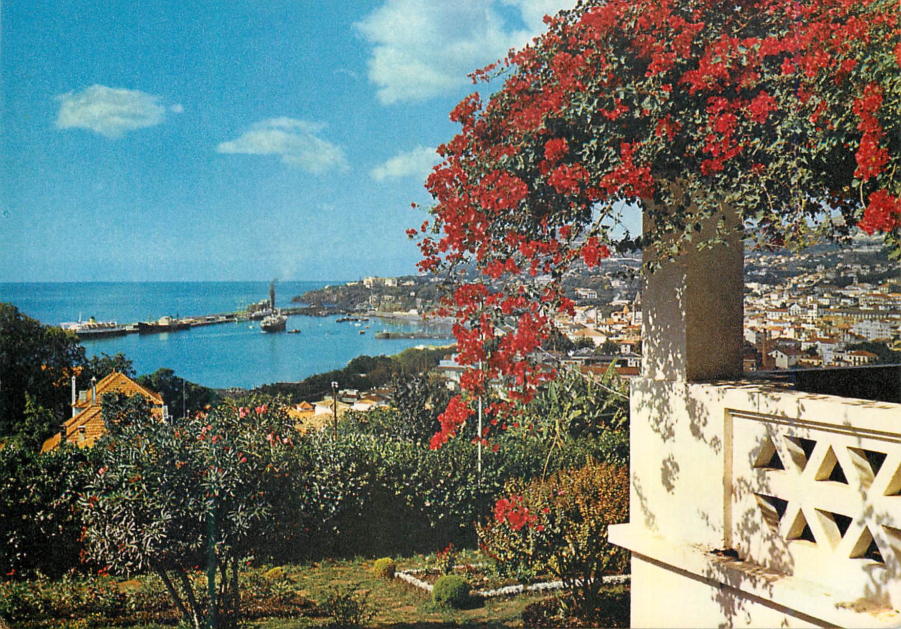 CPM Madeira 88 coup d oeil sur la ville et le port de funchal