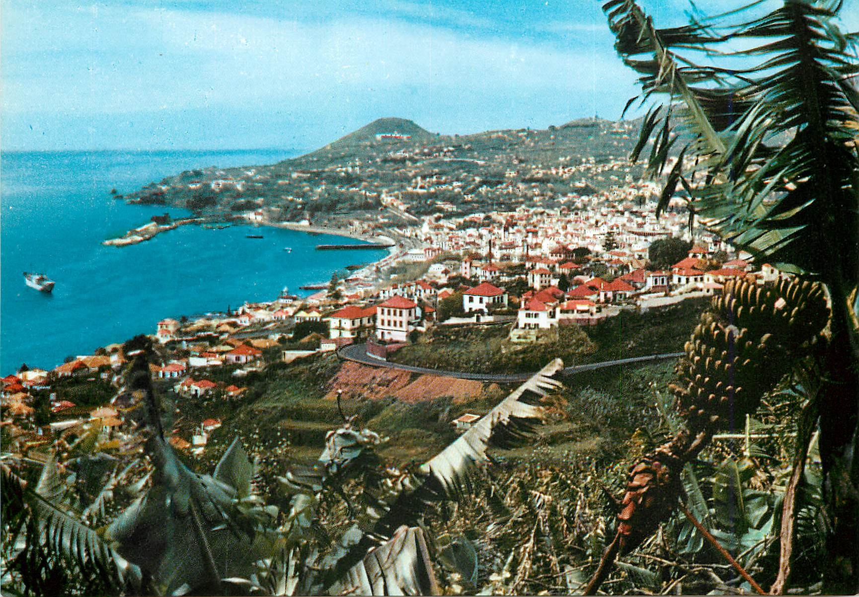 CPM Funchal madeira vue occidentale