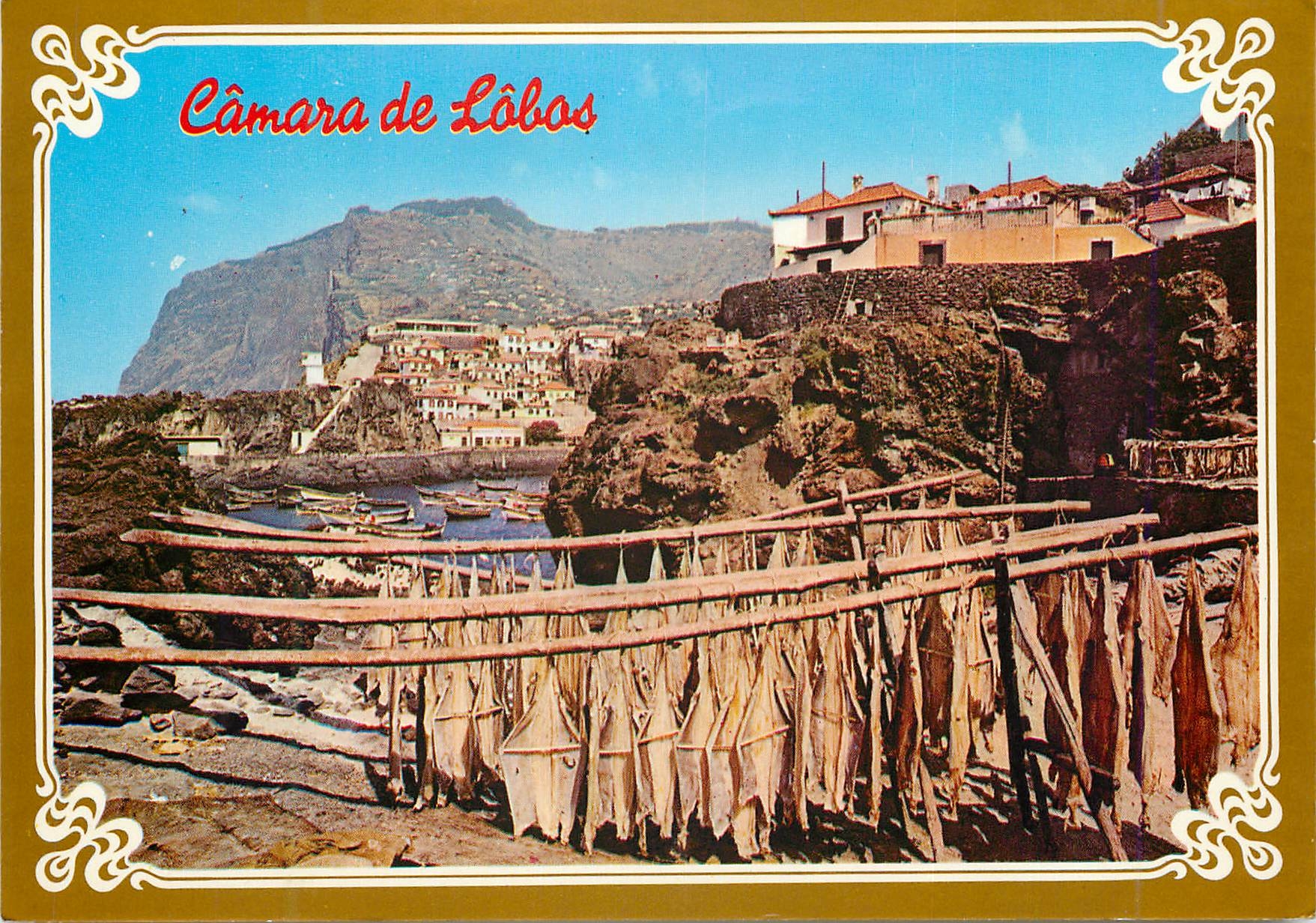 CPM Madeira sechage de poissons camara de lobos