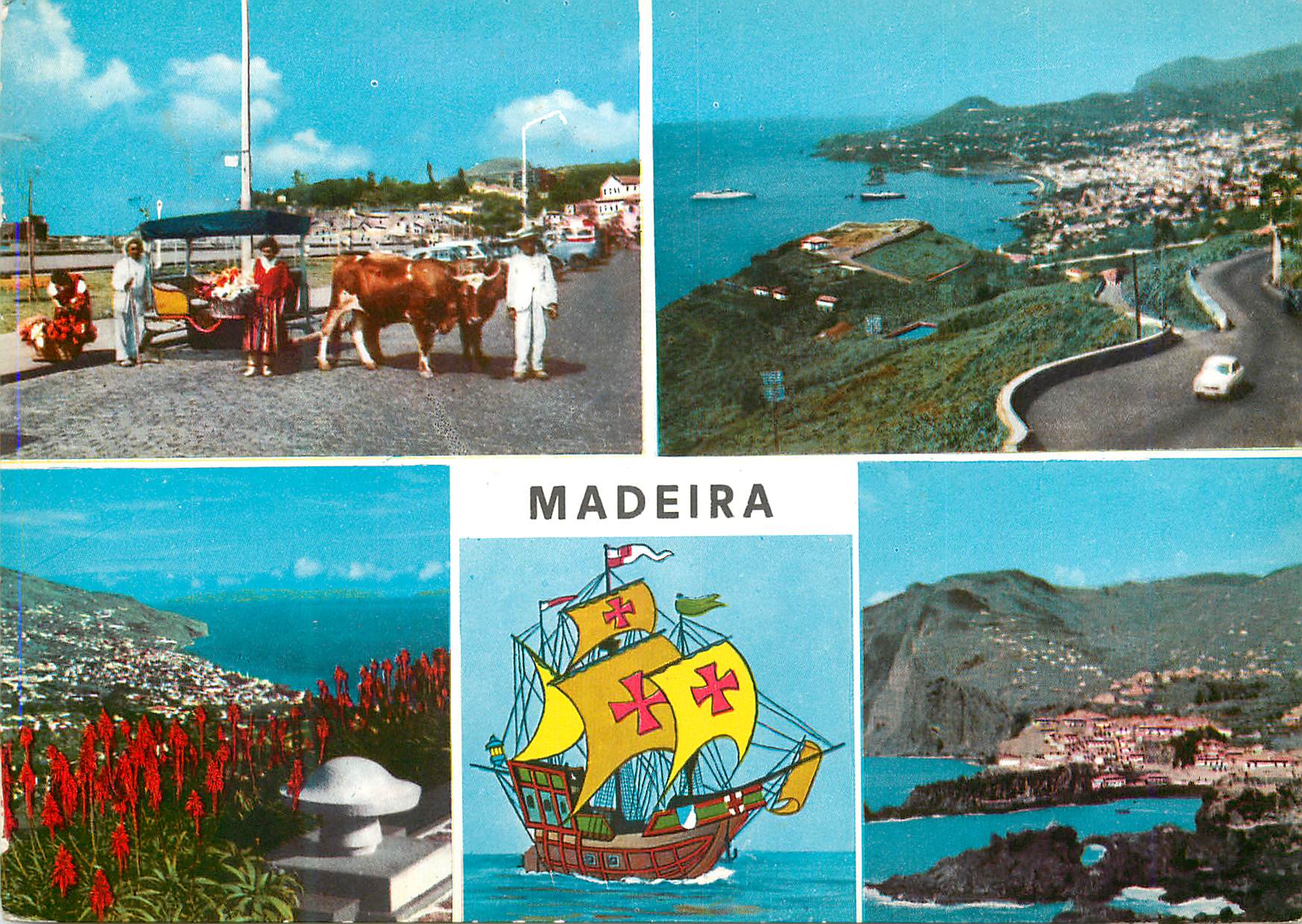 CPM Madeira les meilleurs vues de madere