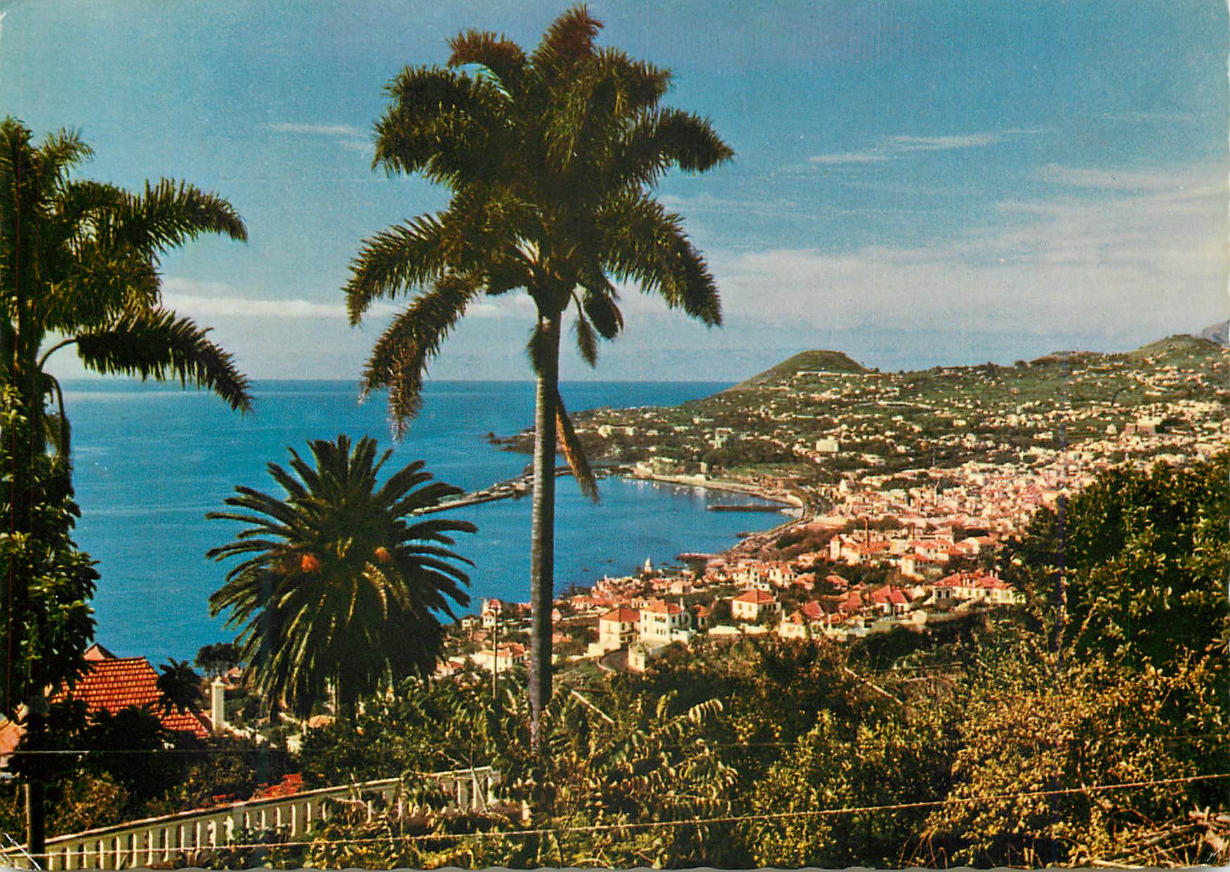 CPM Funchal madeira vue occidentale