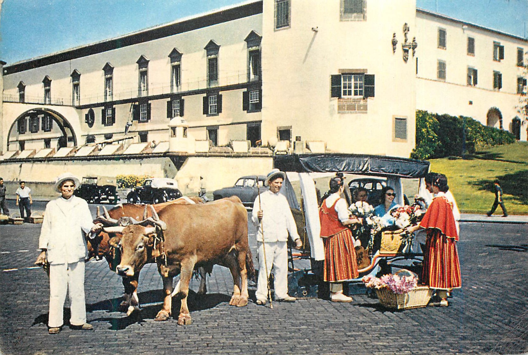 Madeira — Carro de Bois e Vendedeiras de Flores na Entrada da Cidade — Madeira, Portugal