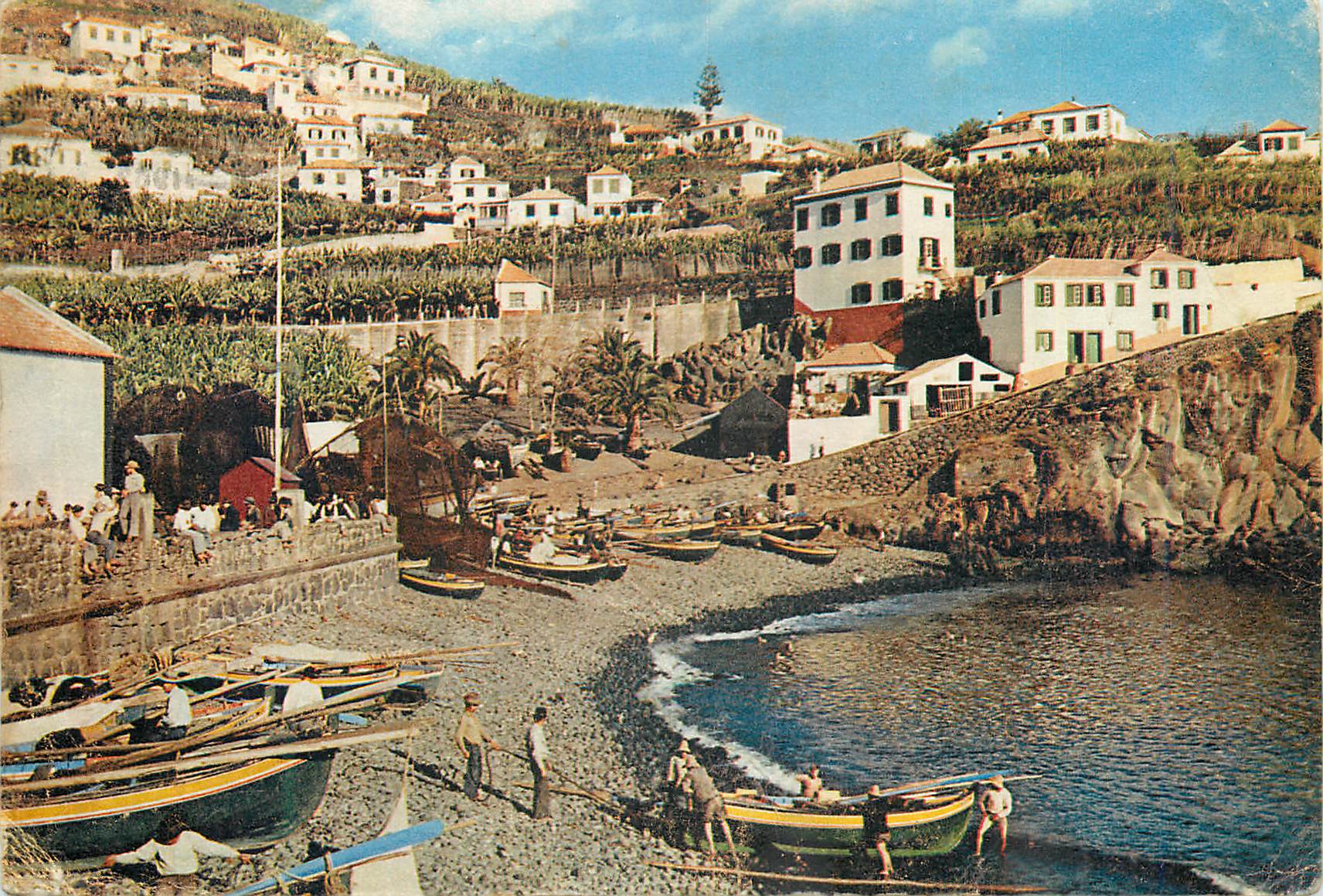 CPM Madeira camara de lobos 524