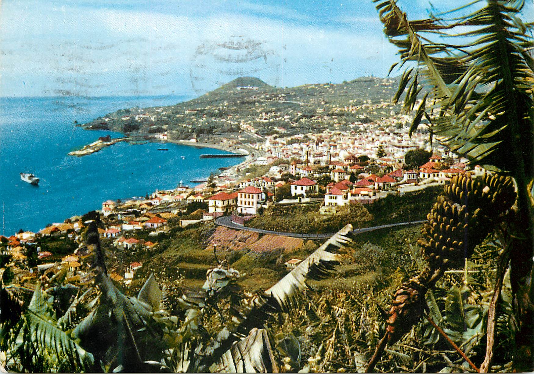 CPM Funchal madeira vue occidentale