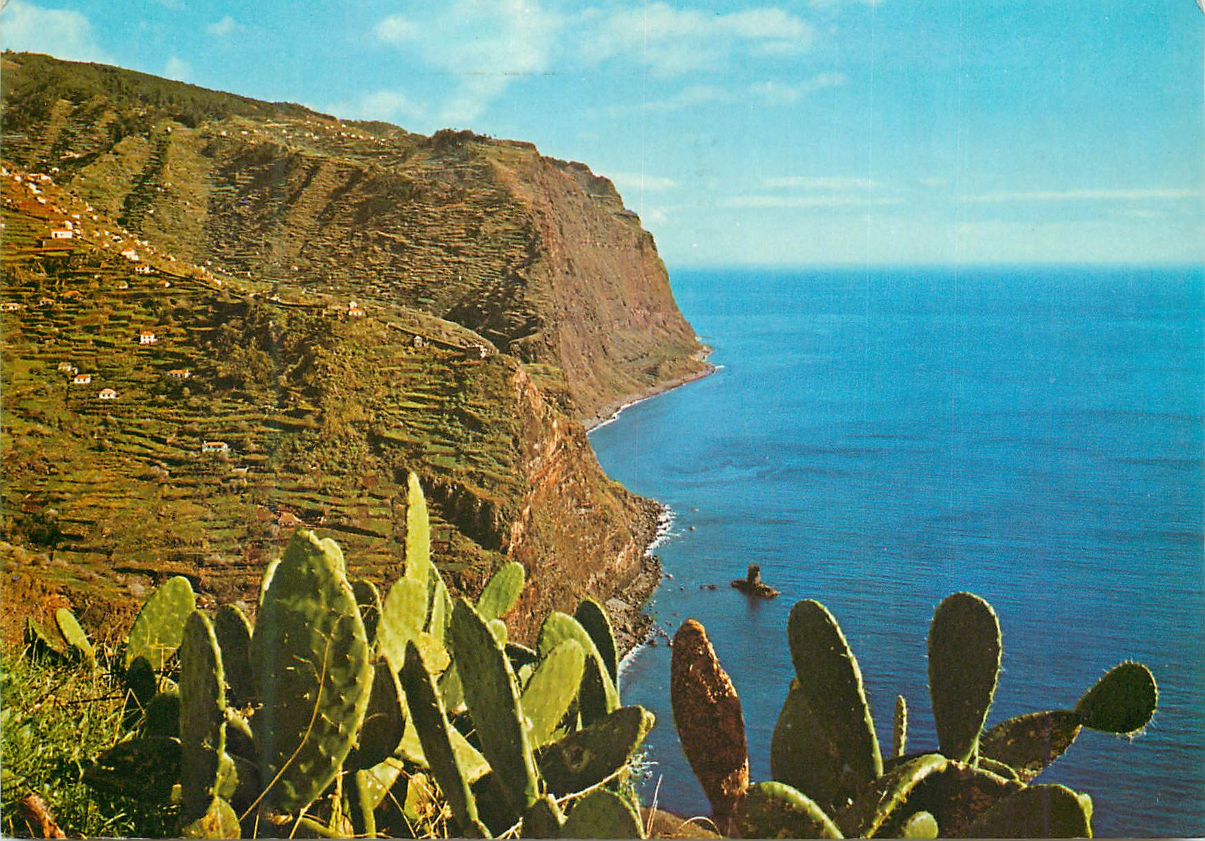 CPM Campanario madeira des roches sur la mer