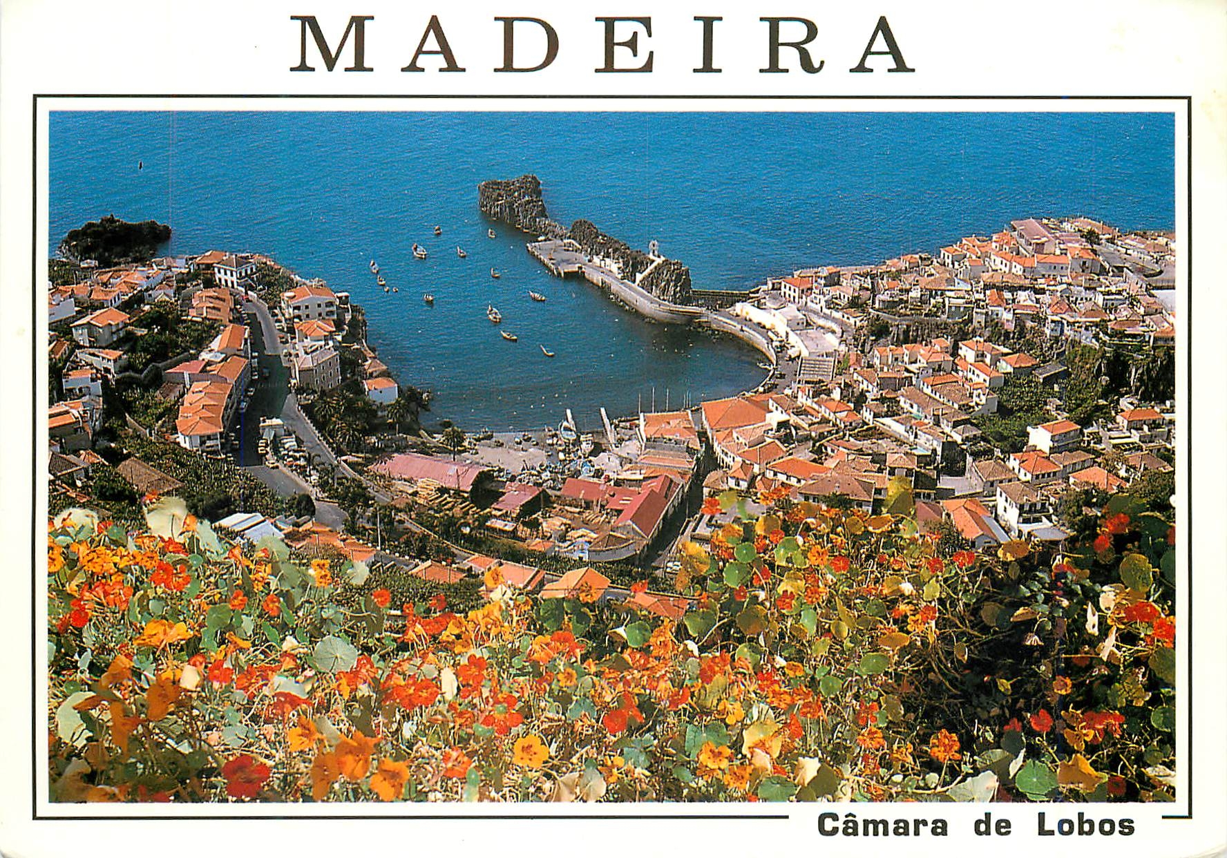CPM Camara de lobos madeira vue partielle