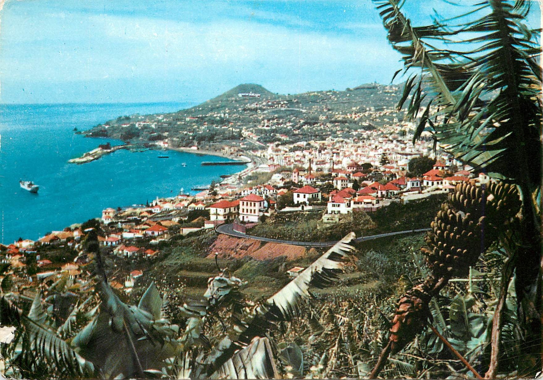 CPM Funchal madeira vue occidentale