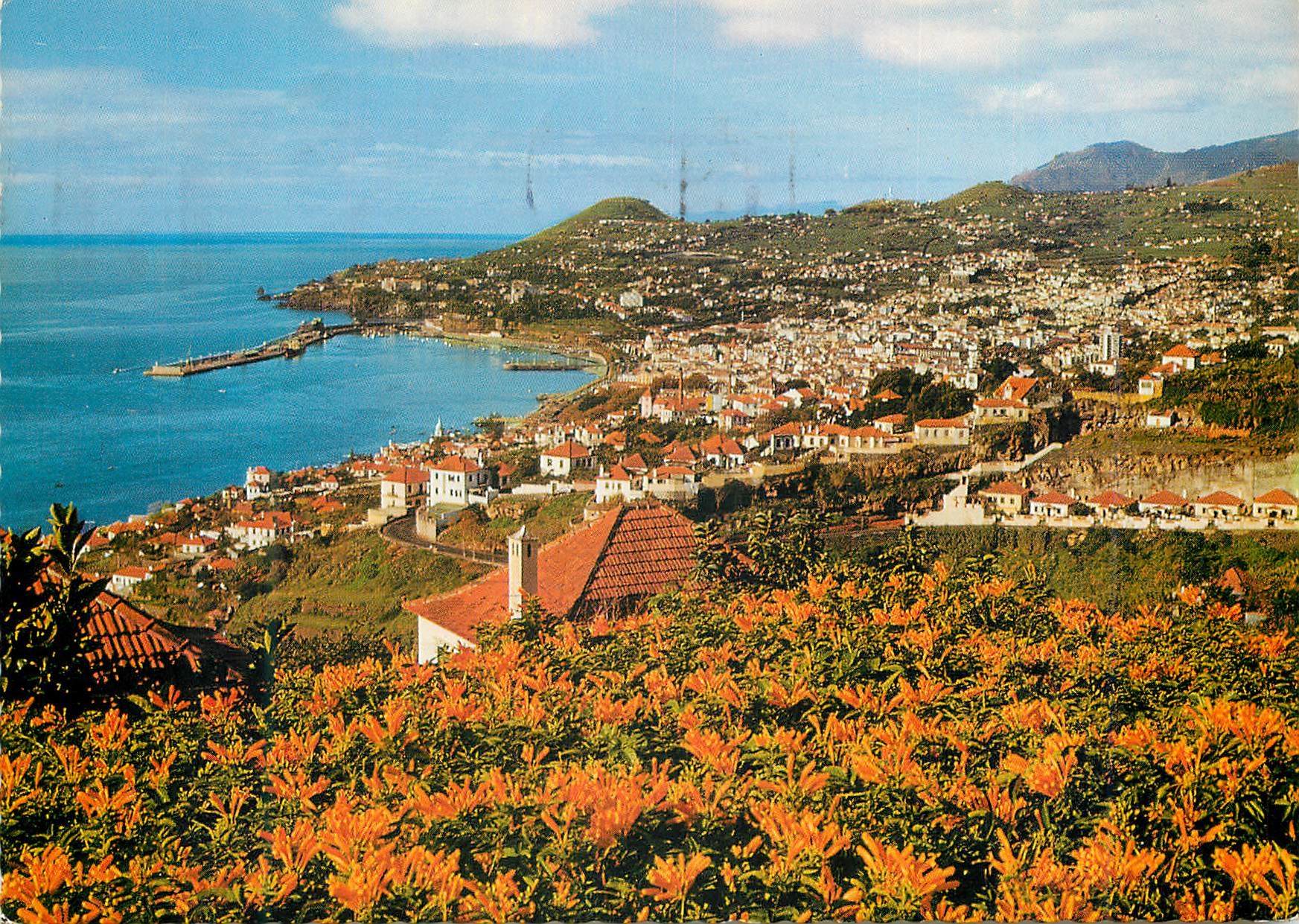CPM Funchal madeira vue occidentale