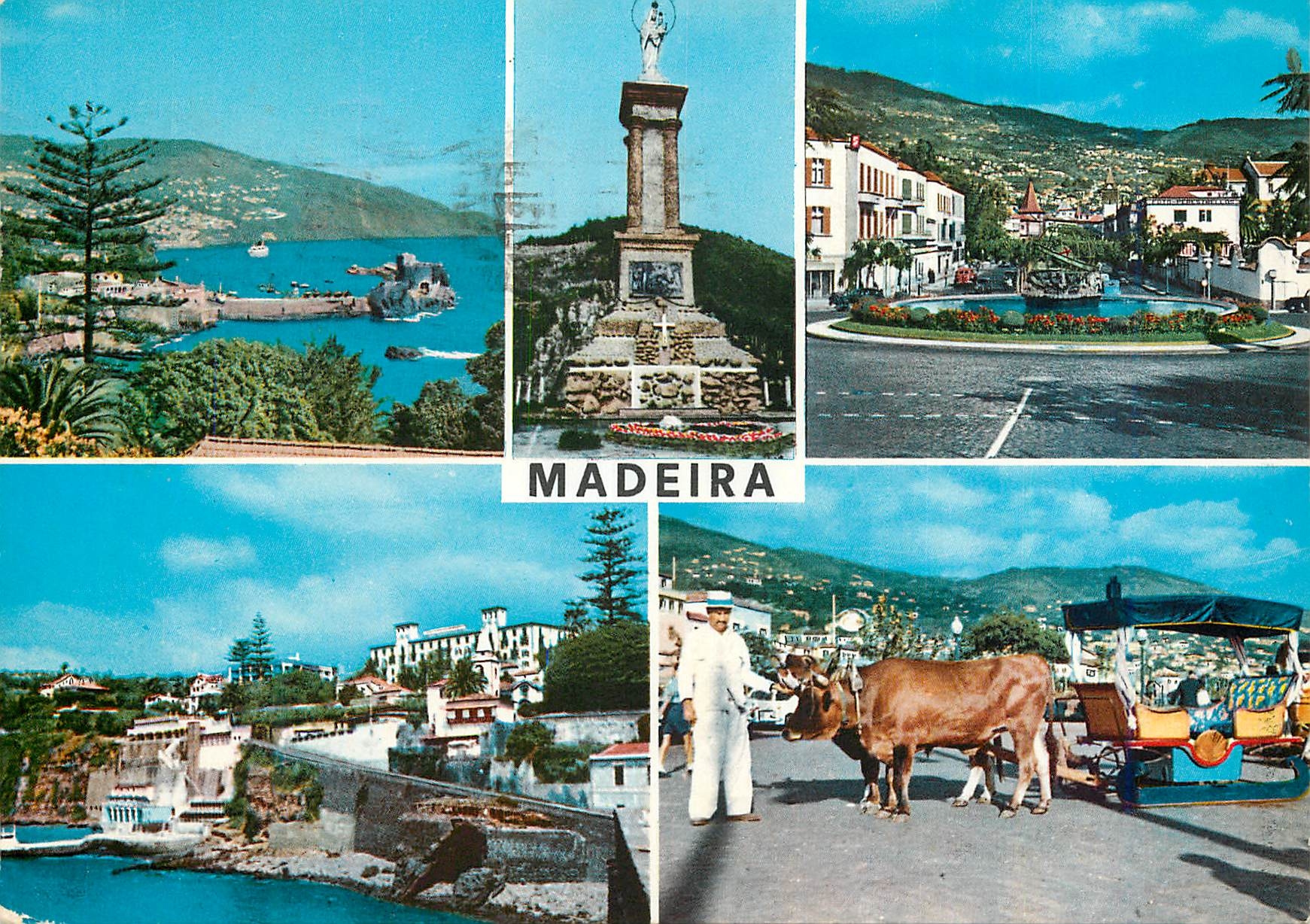 CPM Madeira les meilleurs vues de madere