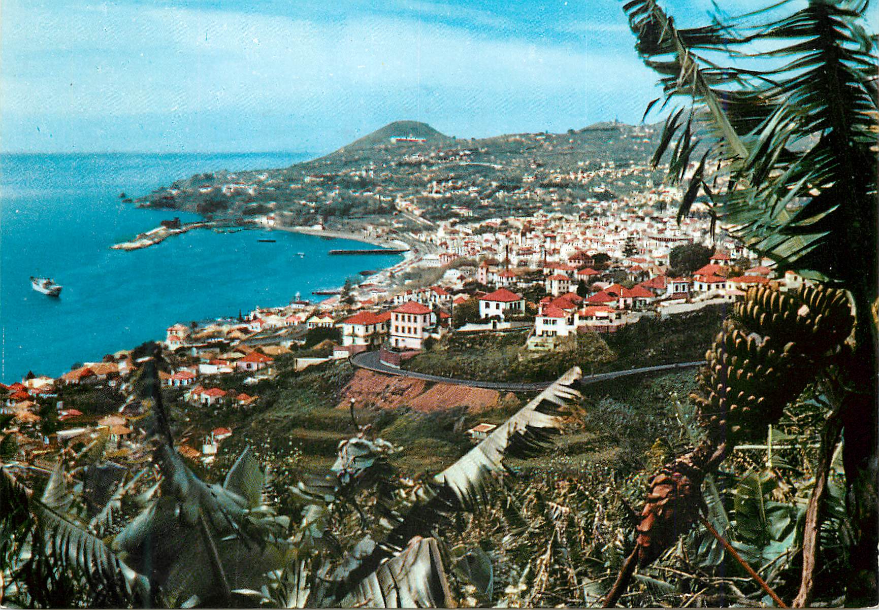 CPM Funchal madeira vue occidentale