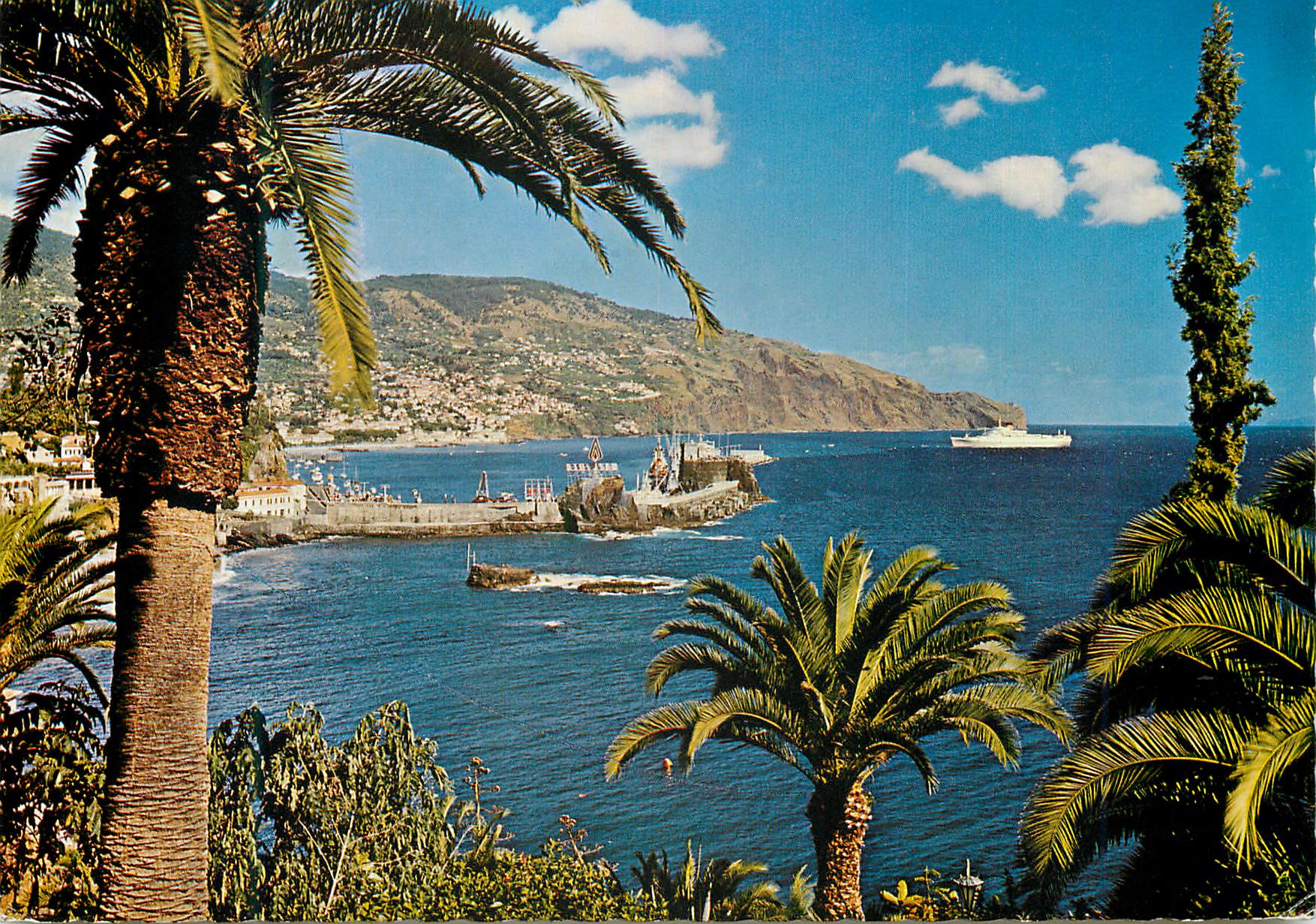CPM Funchal madeira vue orientale