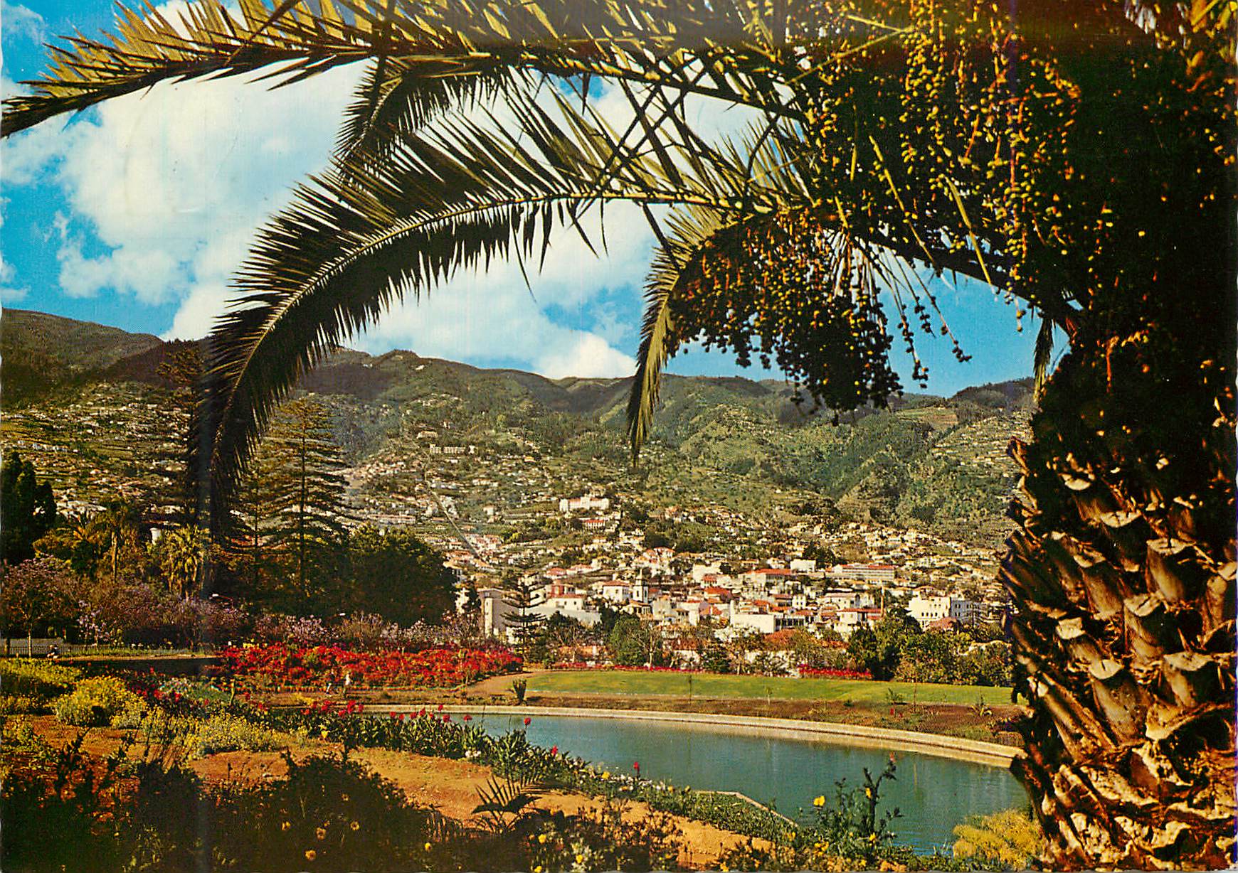 CPM Funchal madeira vue partielle de la ville