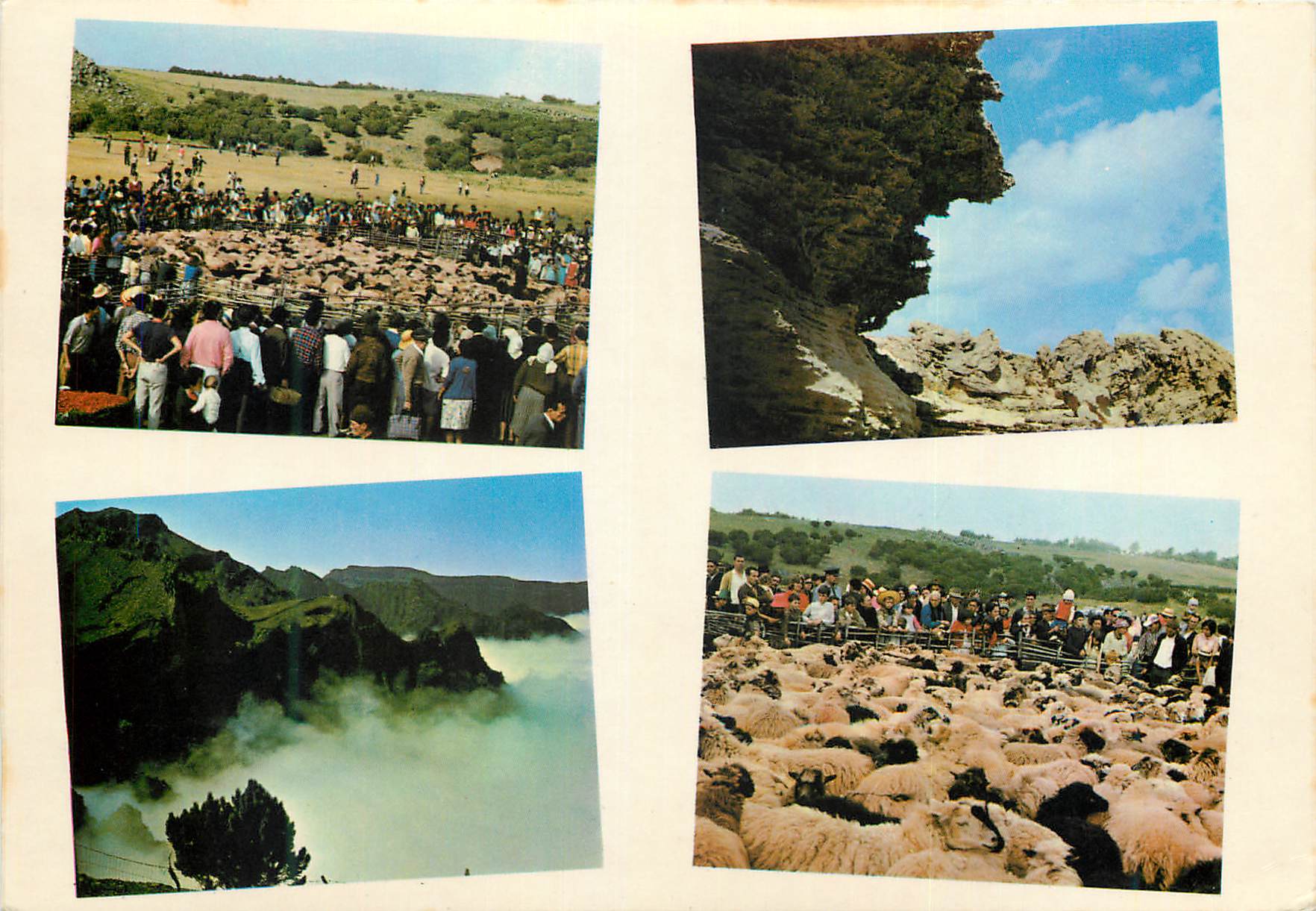 CPM N 23 serros de madeira des monts de madeira