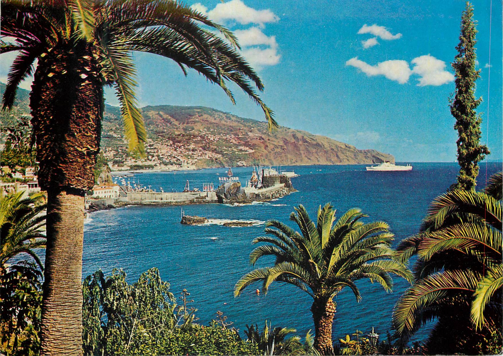 CPM Funchal madeira vue orientale