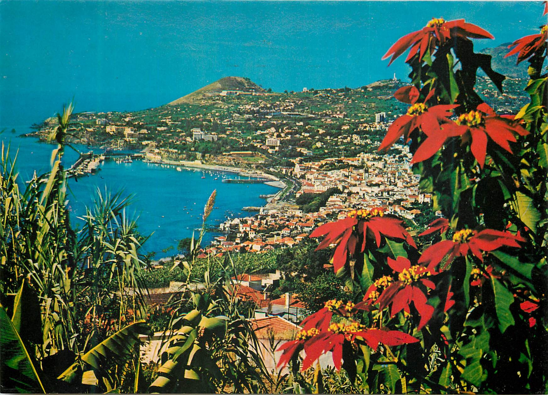 CPM Funchal madeira vue occidentale