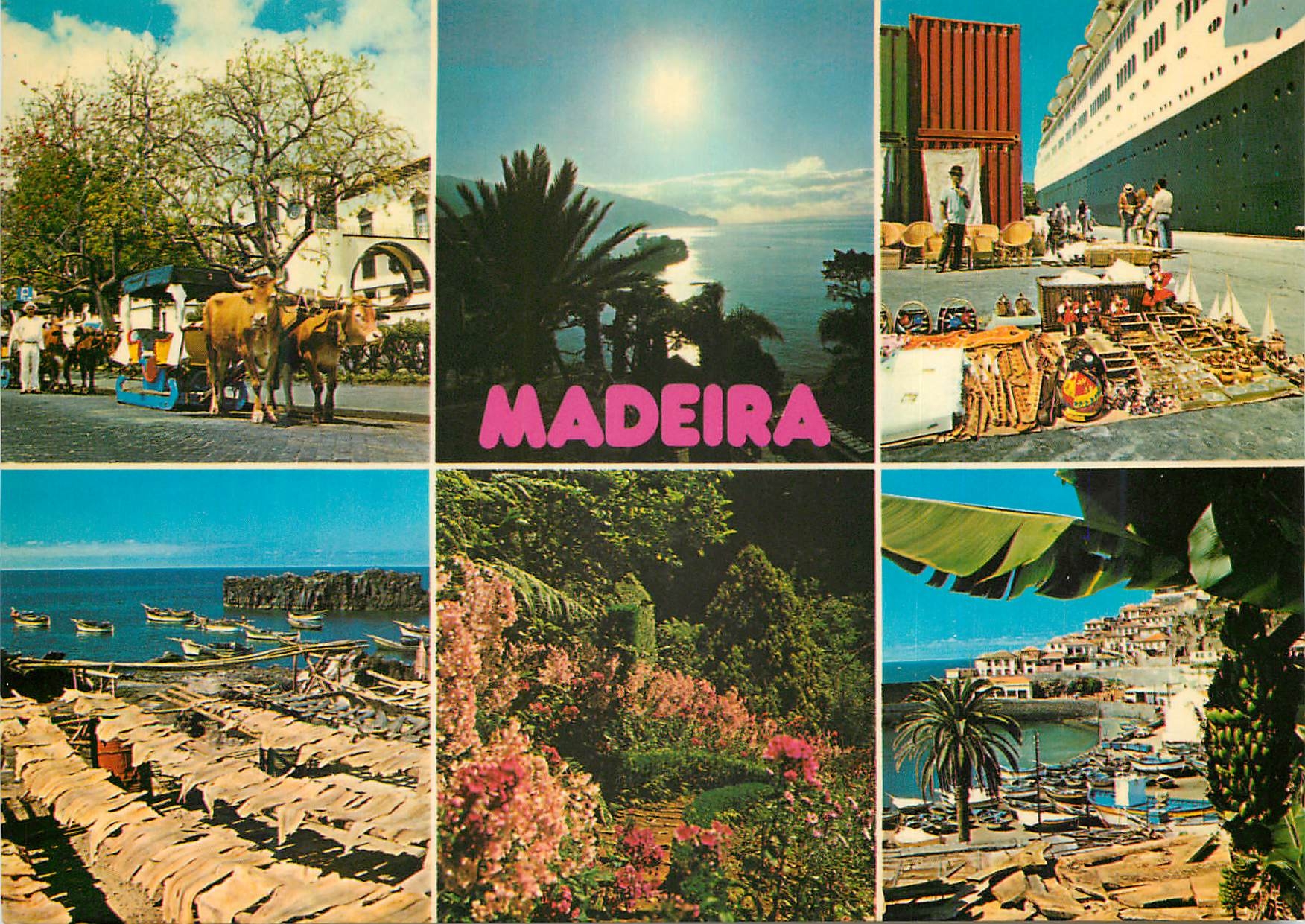 CPM Madeira les meilleures vues de madere