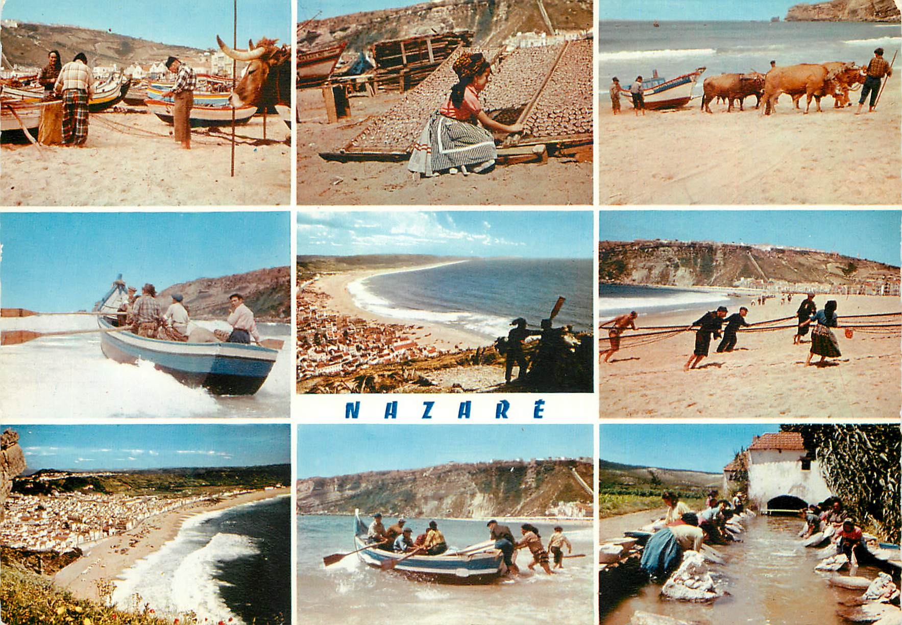 CPM F 351 nazare