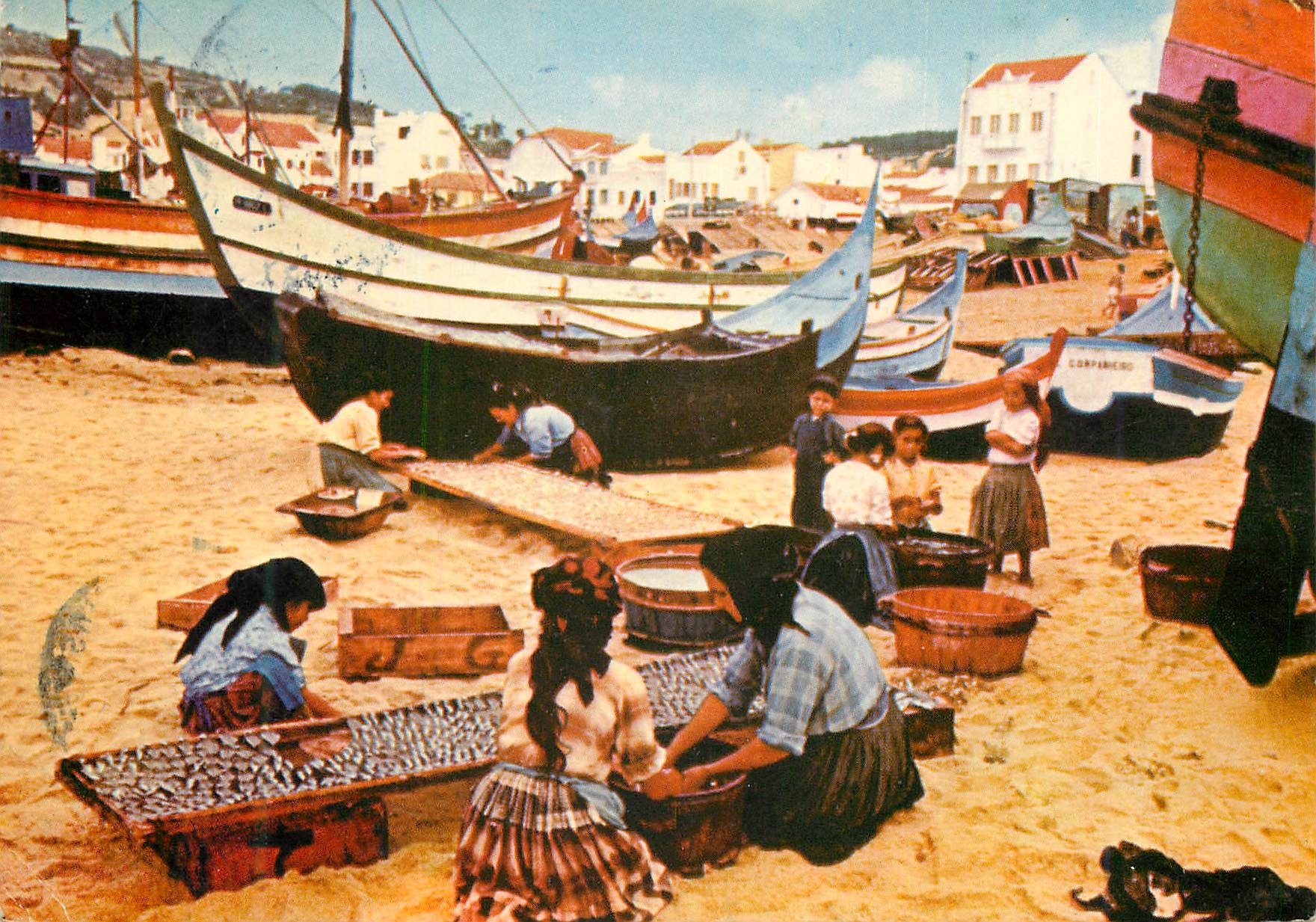 CPM 13 nazare portugal sechant le poisson