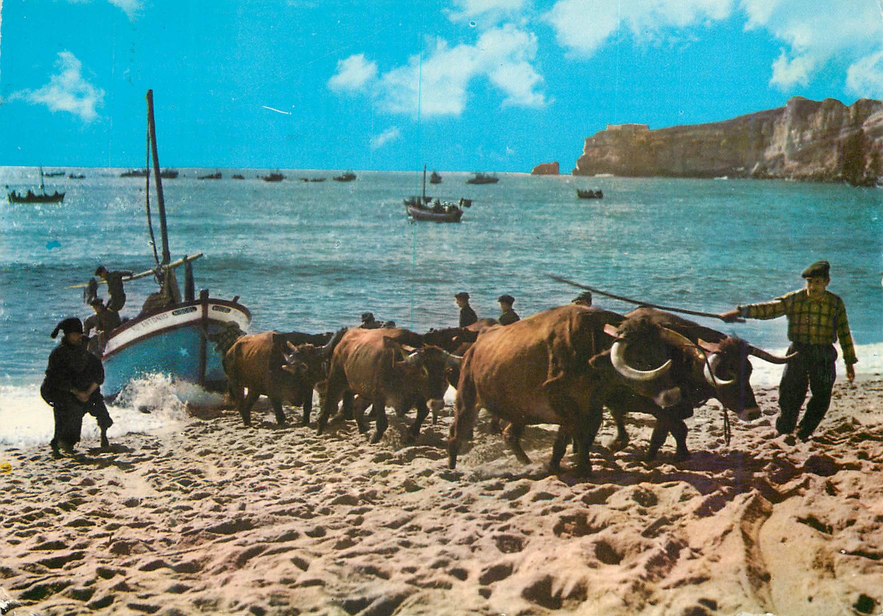 CPM 112 nazare portugal la traine des bateaux