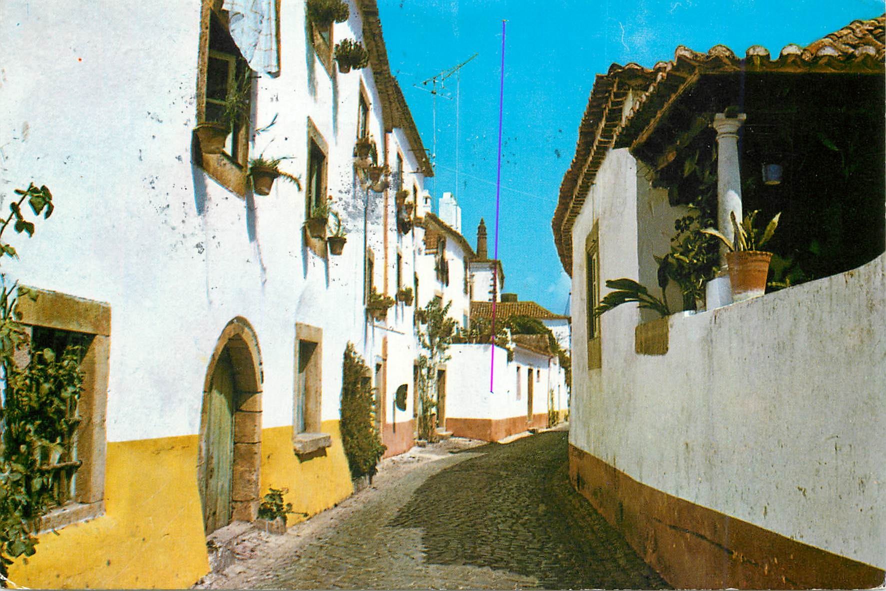CPM 1027 a obidos portugal rue typique de obidos