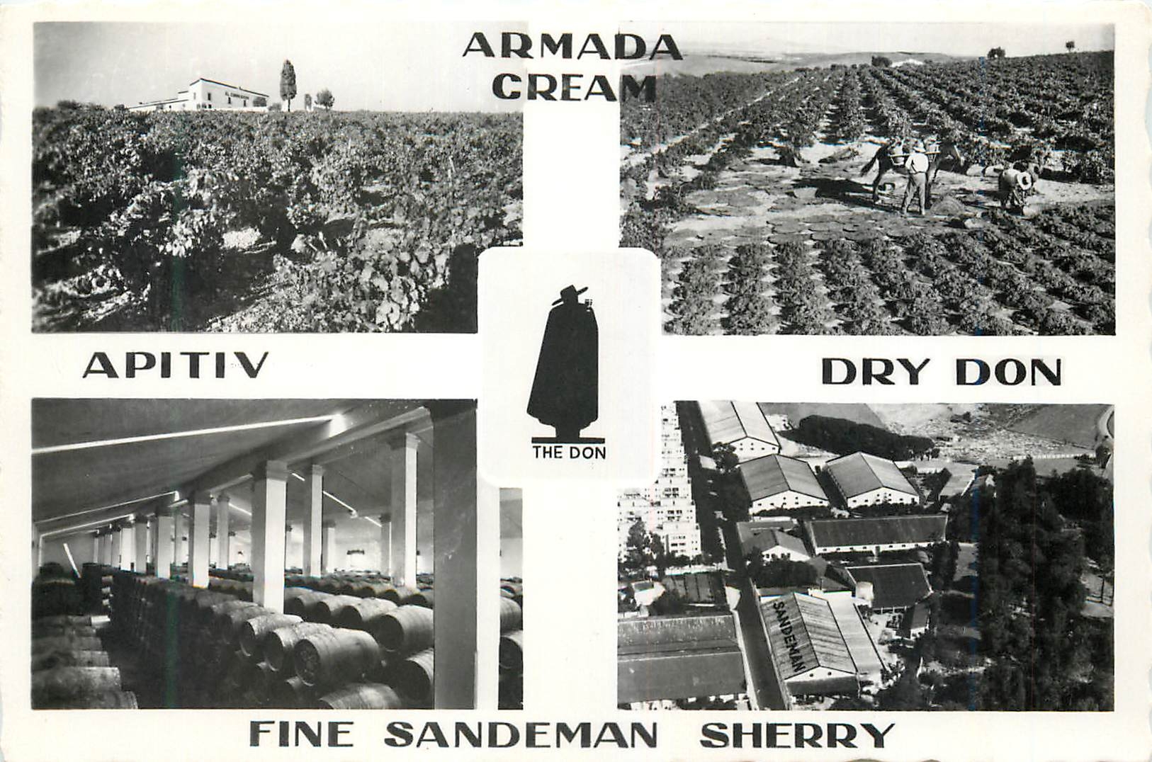 CPM Armada Cream Dry Bon Fine Sandeman Sherry