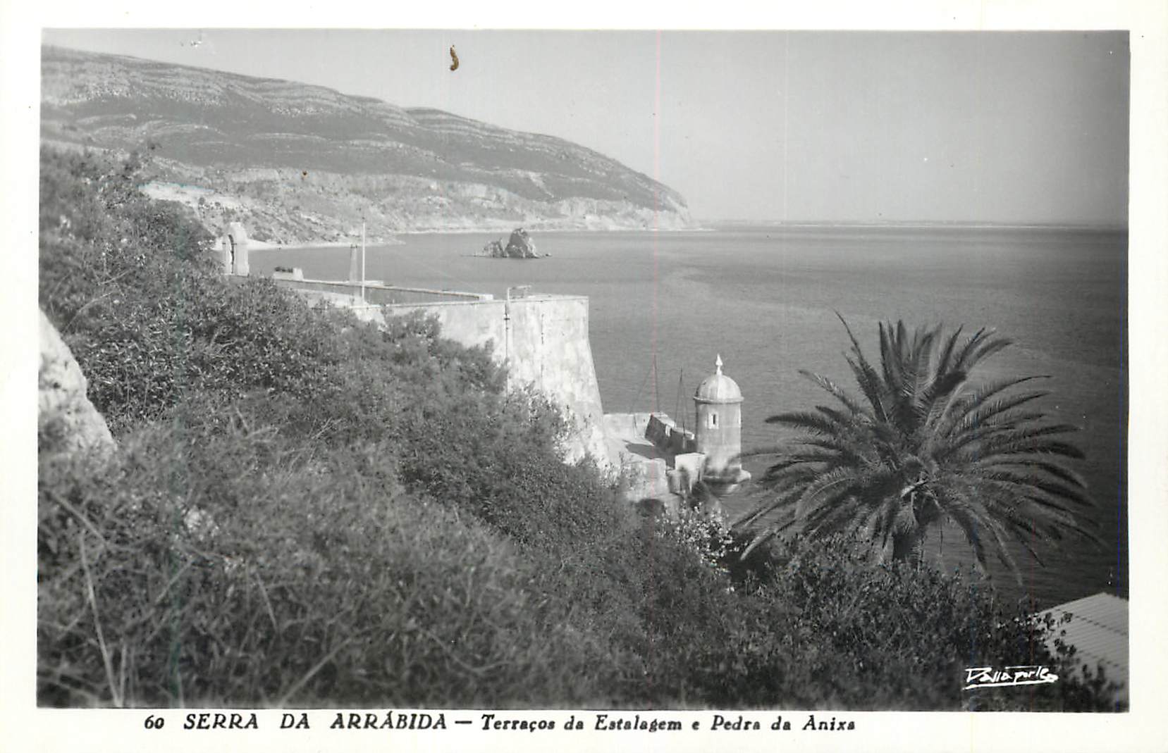 CPM 60 sedra da arrabida terracos da estalagem e pedra da anixa