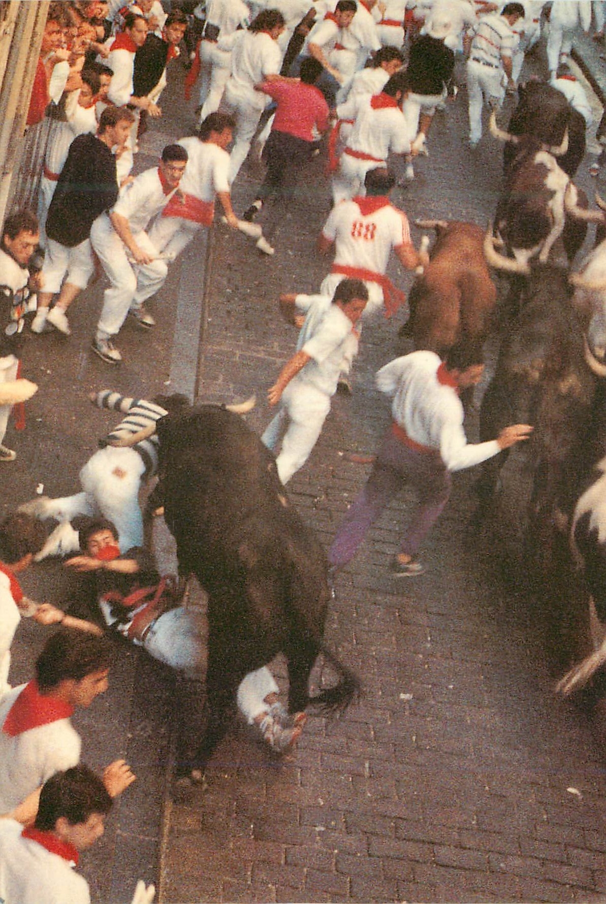 CPM N 37 fiesta de san fermin encierro pamplona navarra Taureau