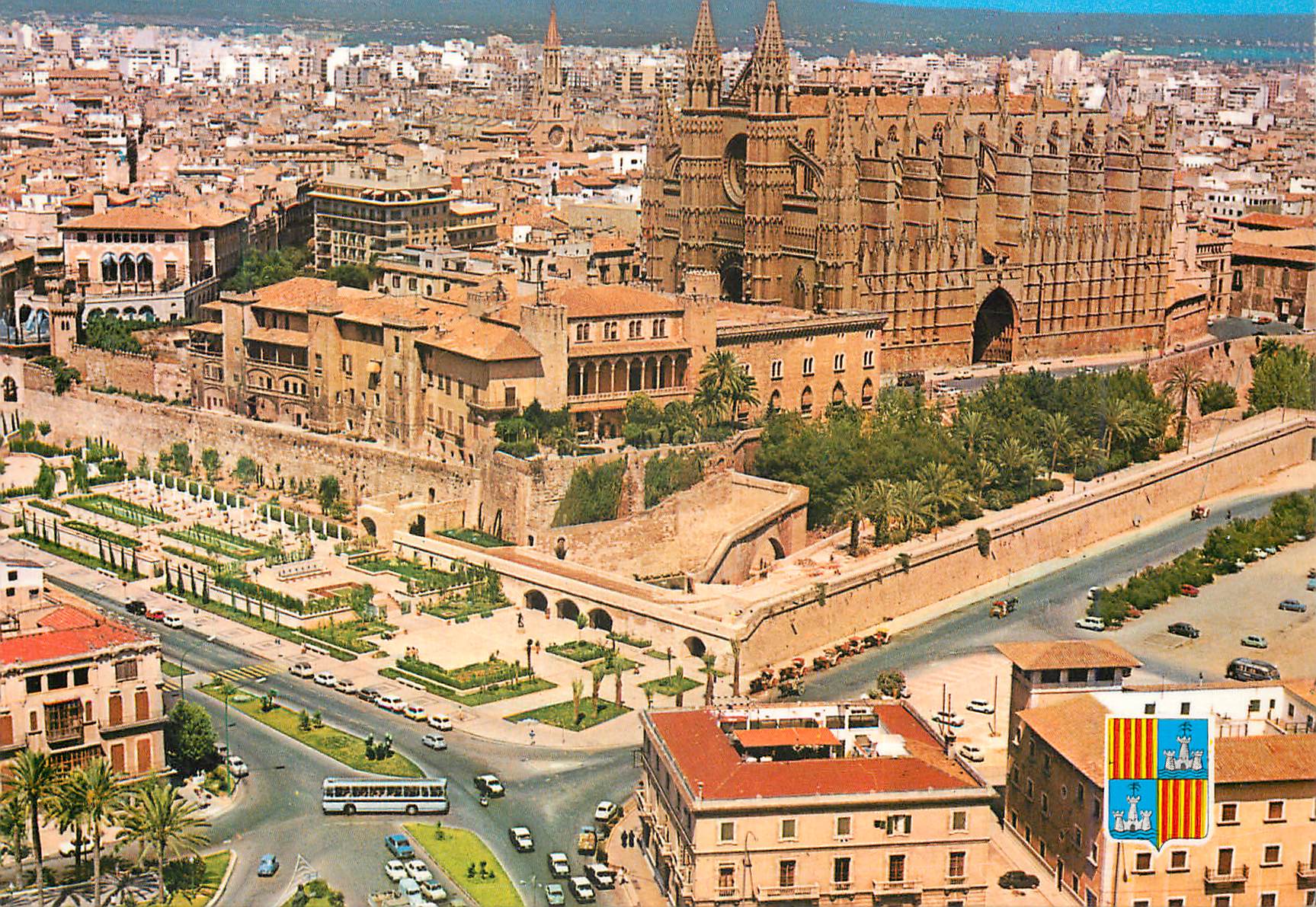 CPM 15 005 catedral y huerto del rey palma de mallorca