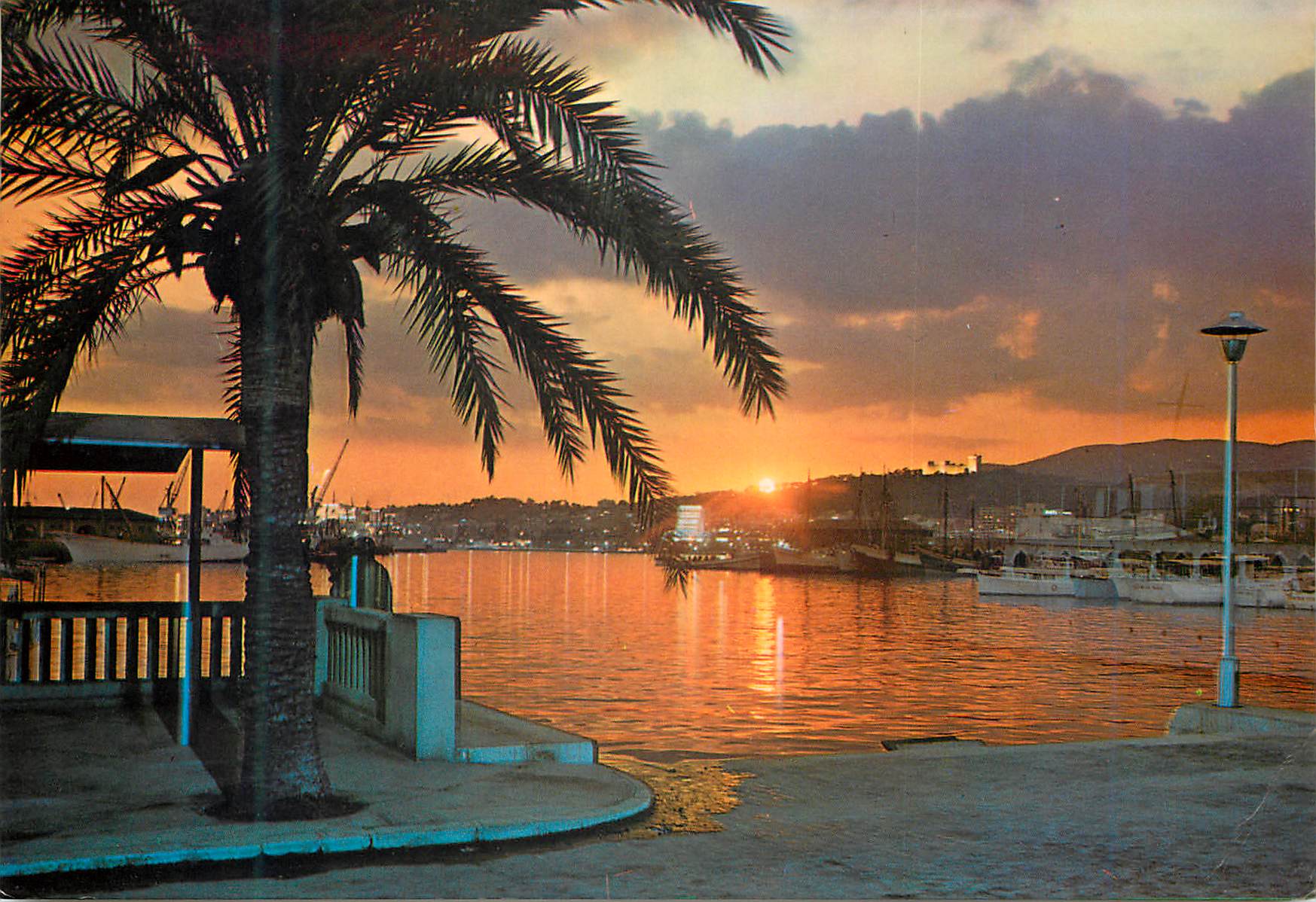 CPM Palma de mallorca n 819 coucher de soleil dans le baie