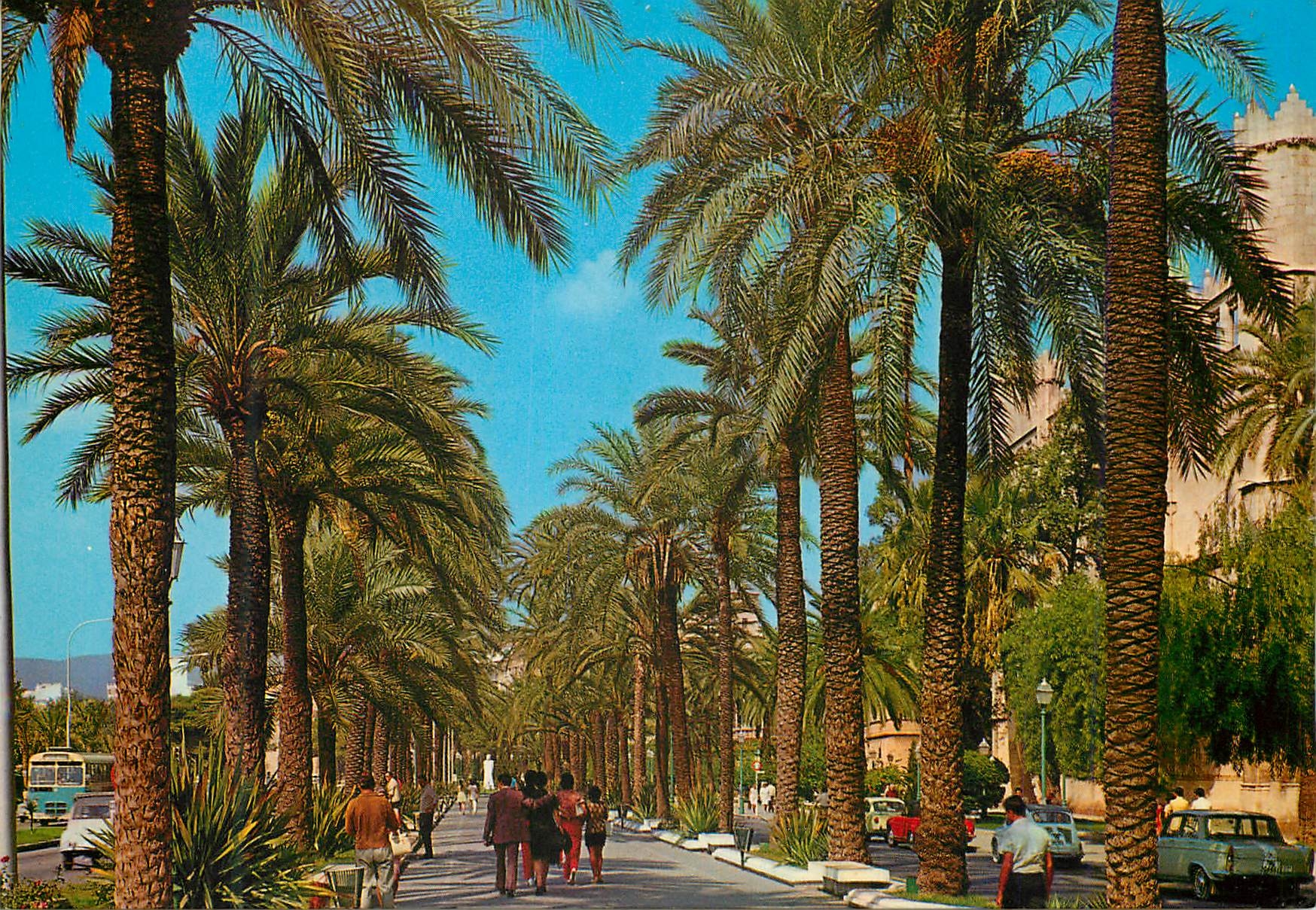 CPM Palma de mallorca n 1 073 avenue de sagrera