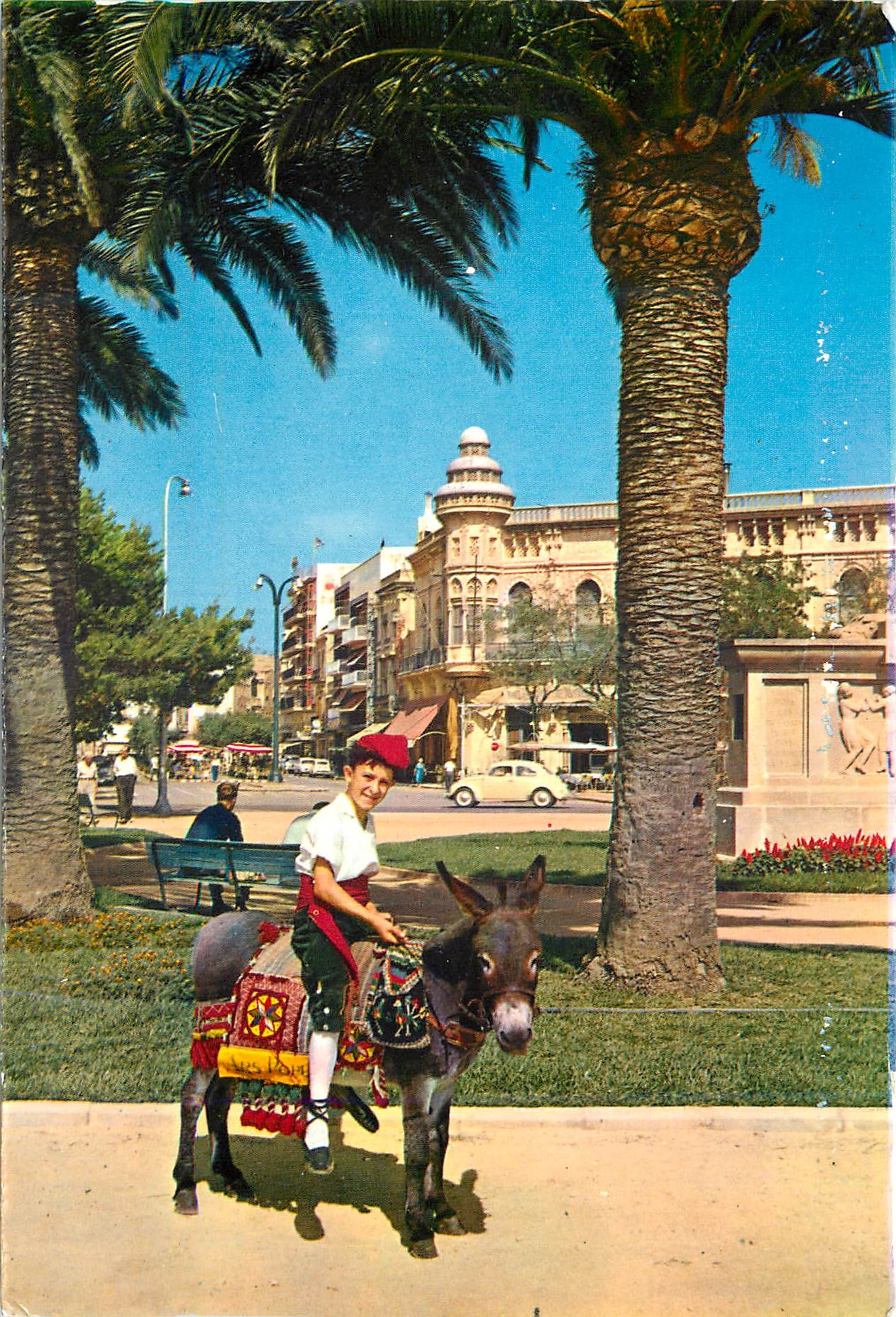 CPM  San Feliu de Guixols Ane Donkey