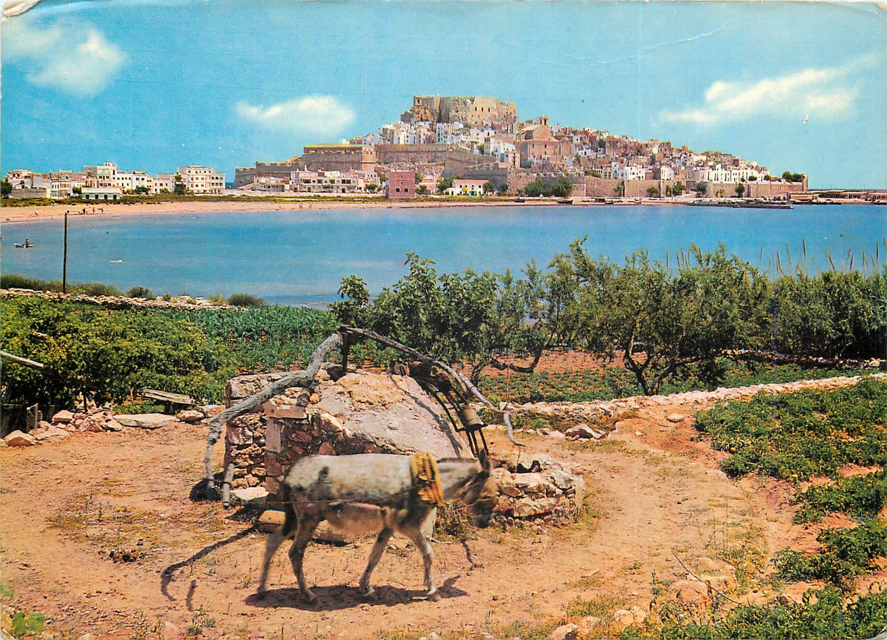 CPM Peniscola n 113 la noria y vista general Ane Donkey