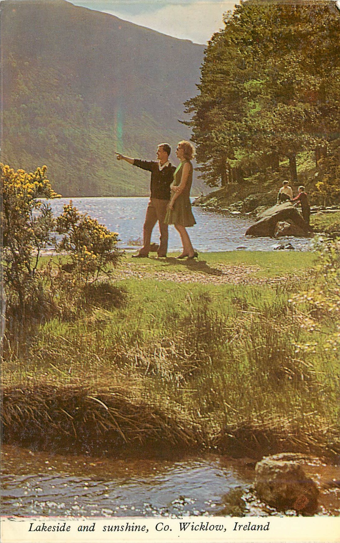 CPM Lakeside and sushine co wicklow ireland