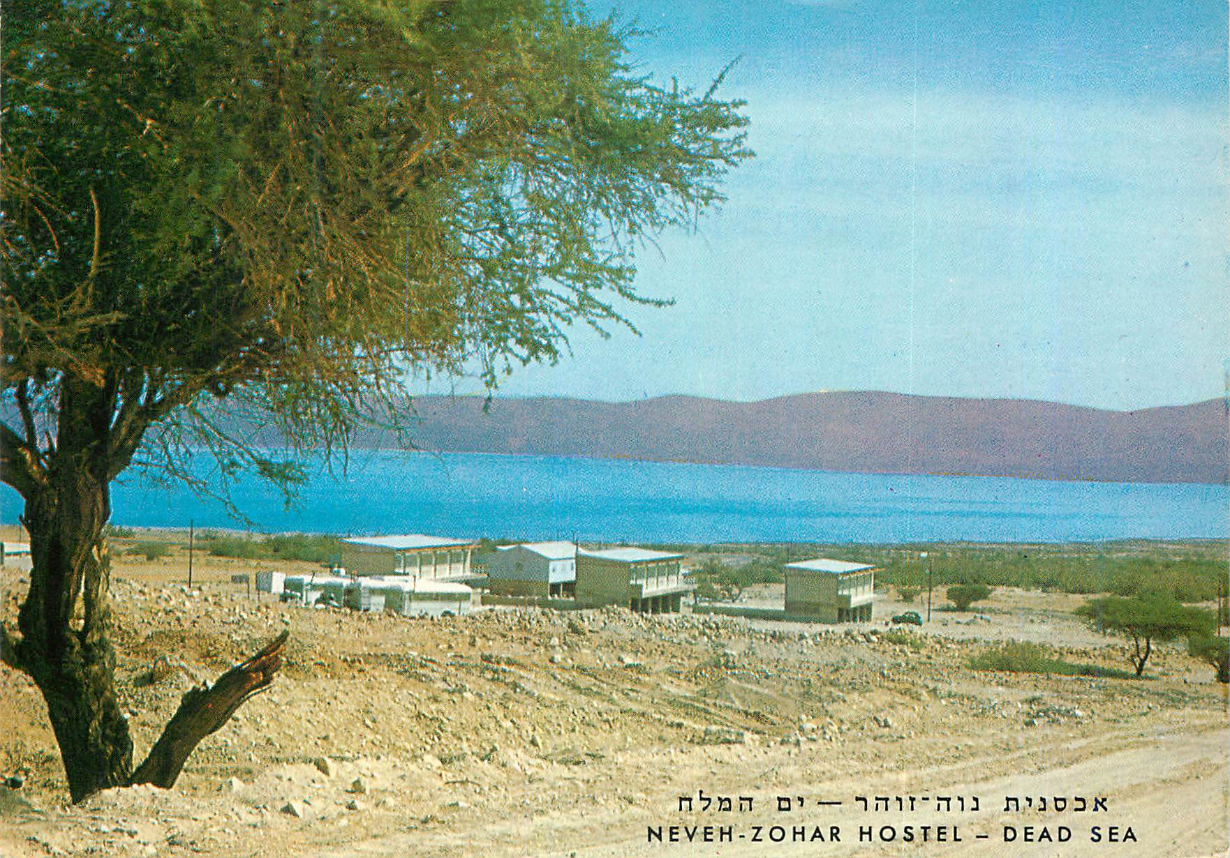 CPM Neven zohar hostel dead sea