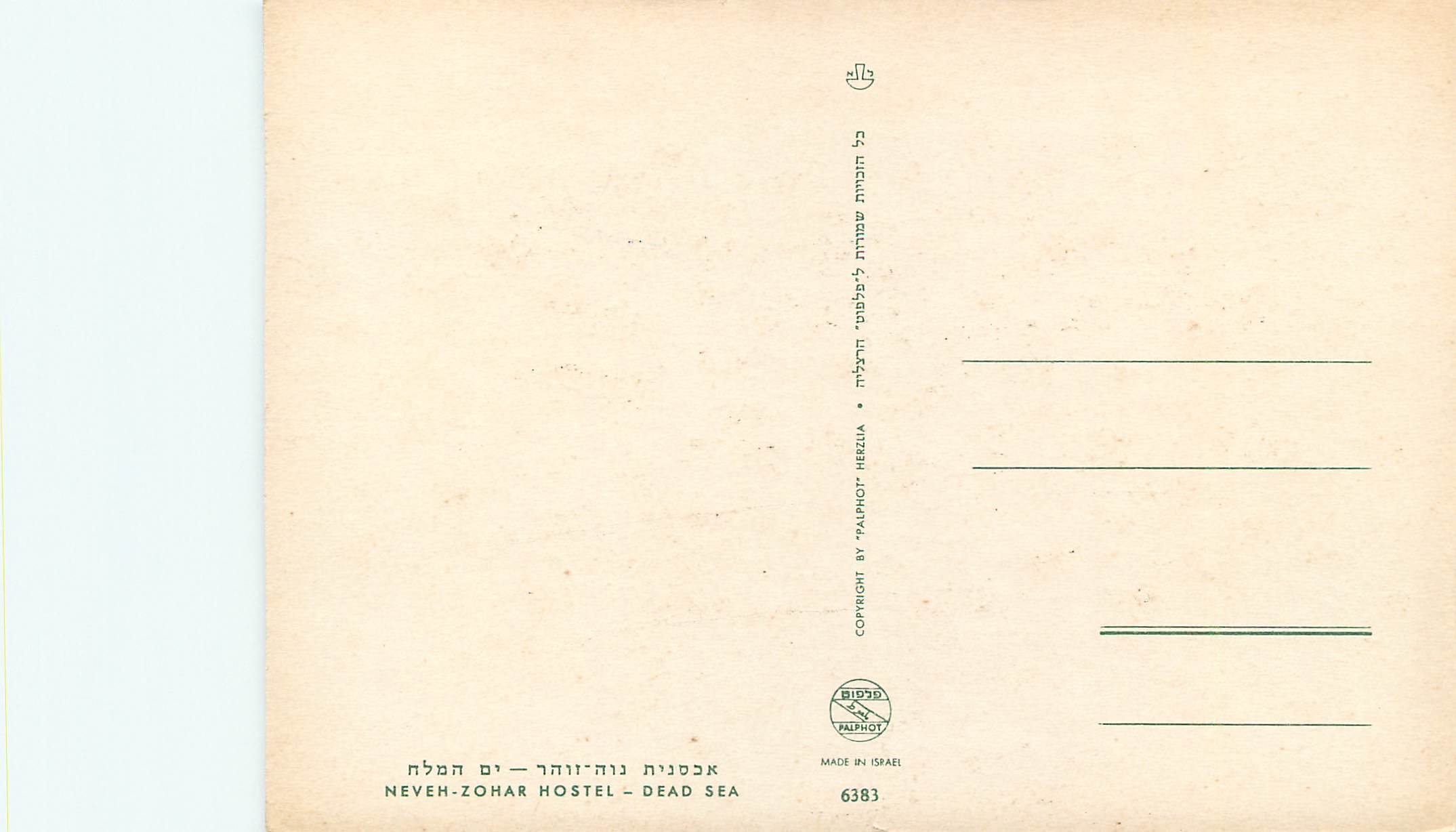 CPM Neven zohar hostel dead sea — Back