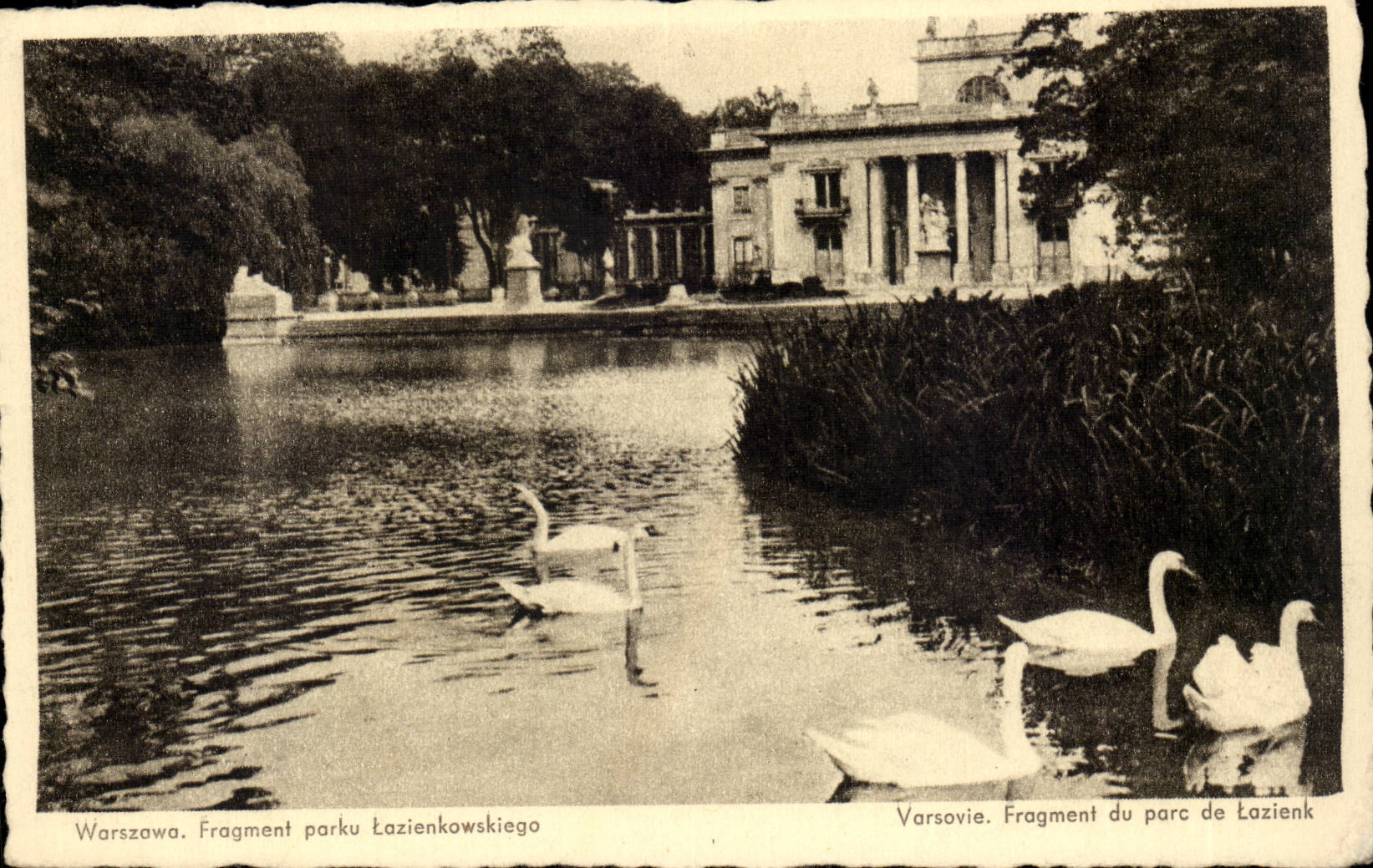 Varsovie. Fragment du parc de Łazienk — éditeur inconnu, n° de série non visible