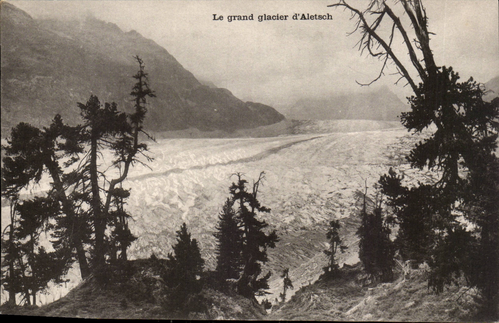 CPA Suisse Le grand glacier d'Altesch