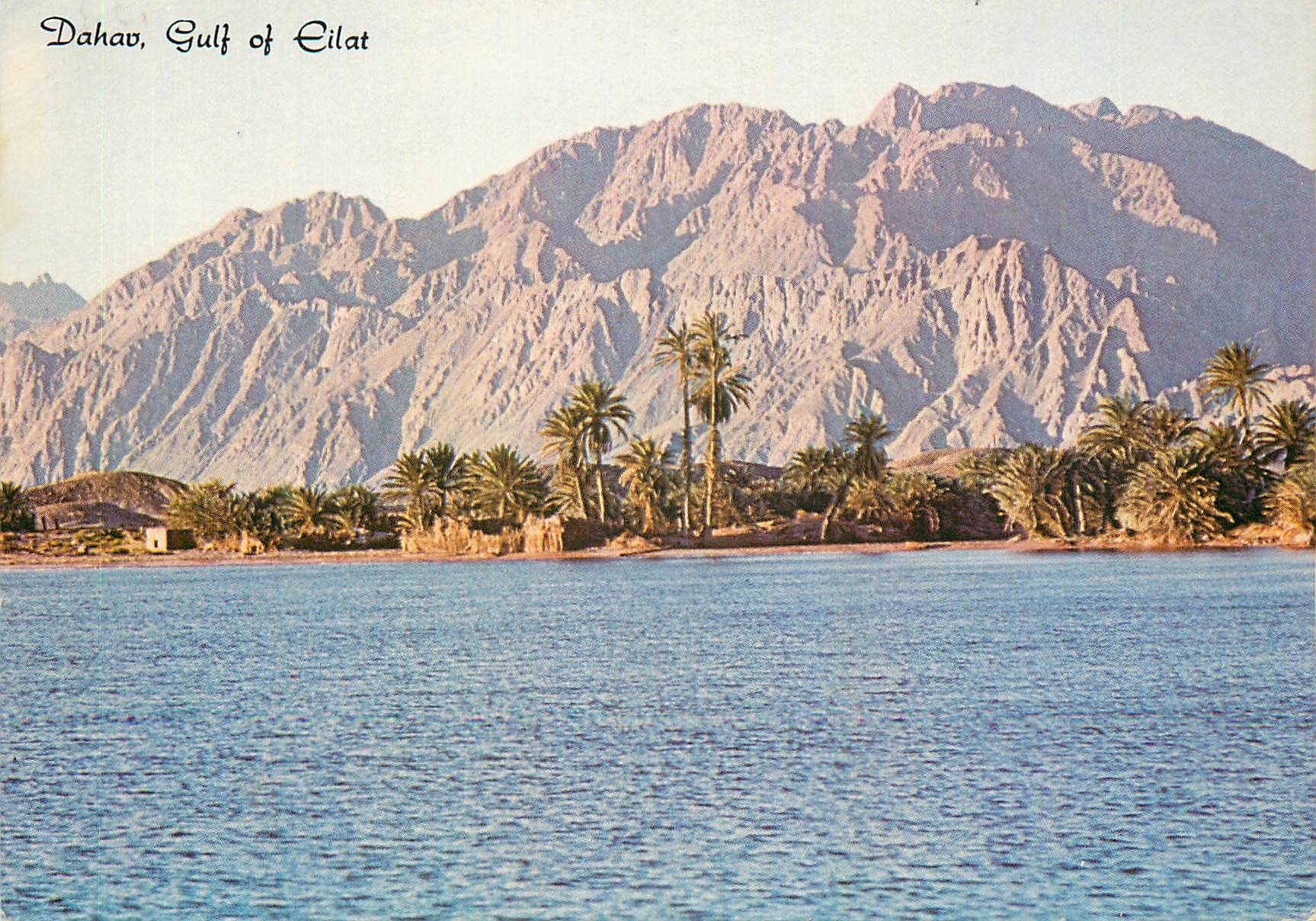 CPM Dahav Gulf of Eilat