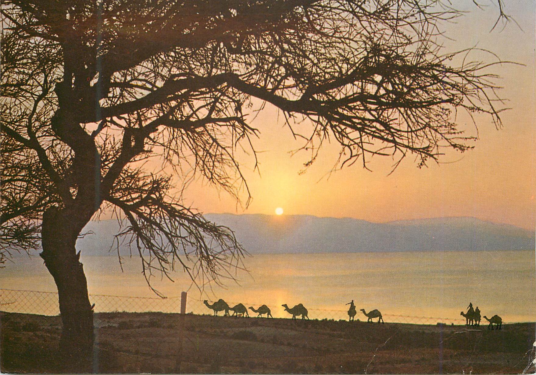 CPM Ein-Gedi Sunrise on the Dead Sea