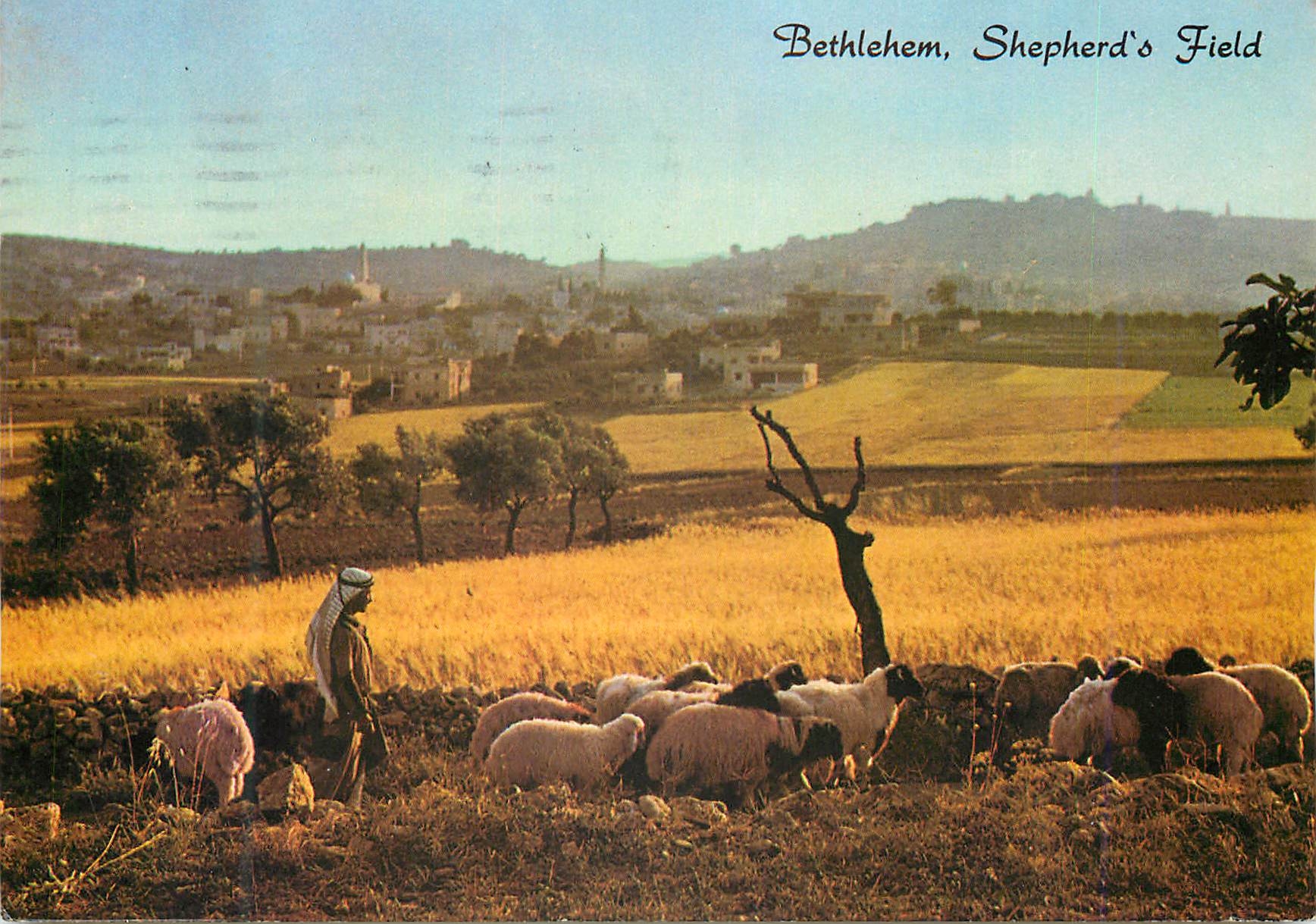 CPM Bethlehem Shepherd's Field