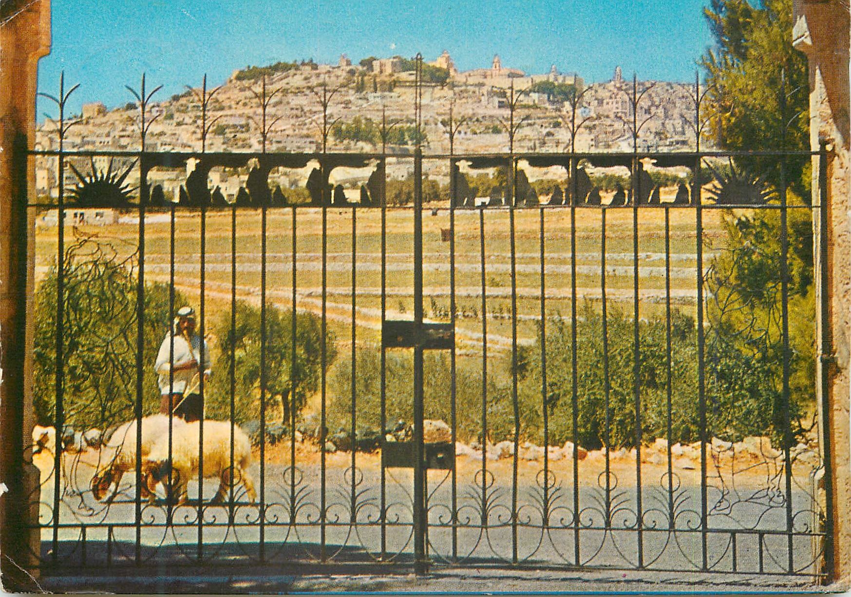 CPM Bethlehem Vue generale de Bethlehem Champ des Bergers