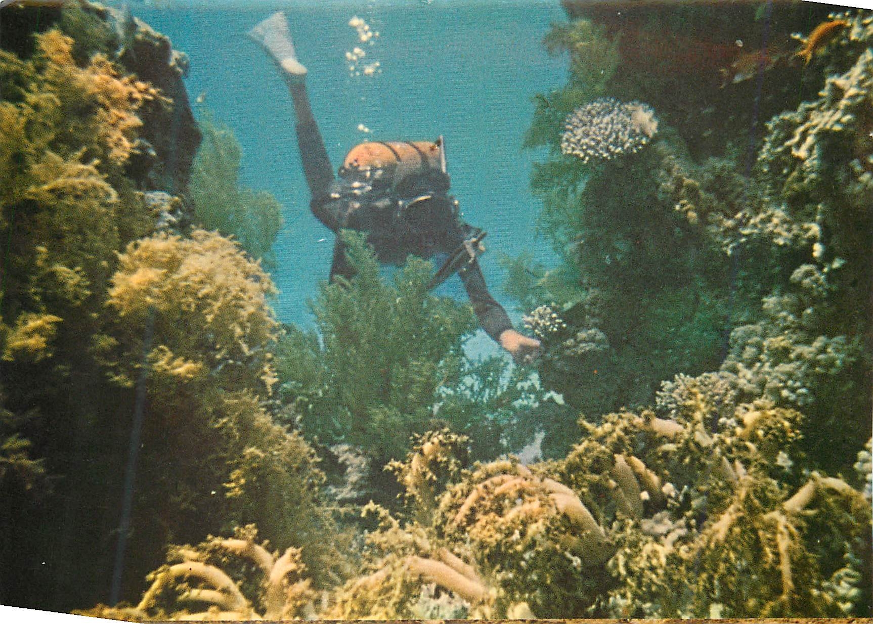 CPM Eilat Red Sea Under-water Scenery